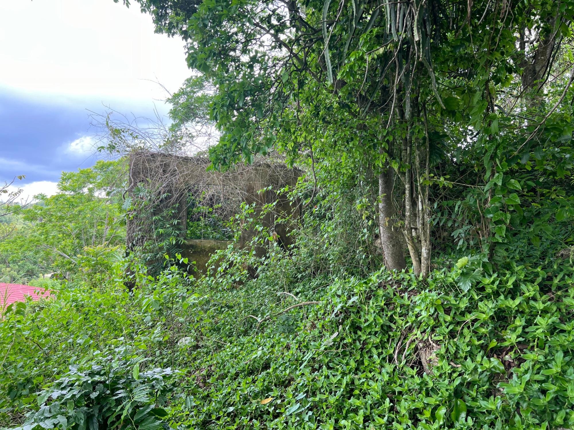 Property Image 20