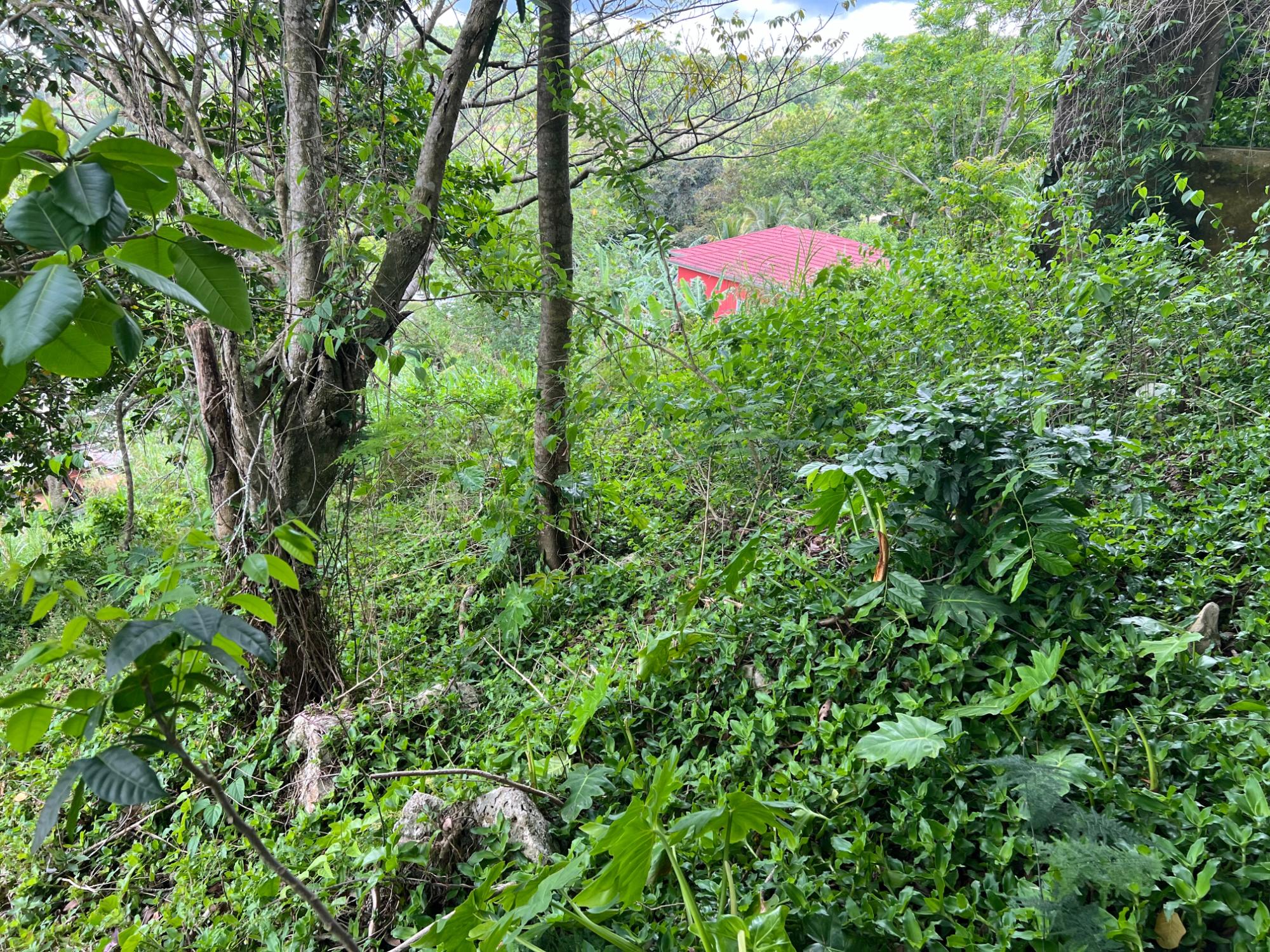 Property Image 22