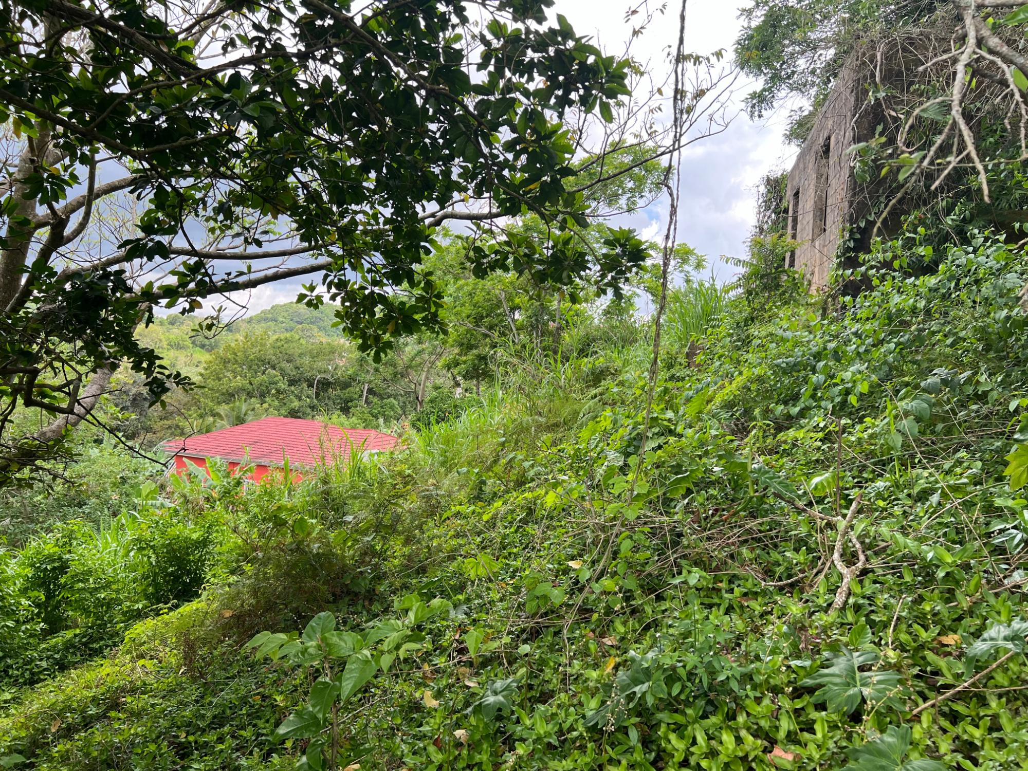 Property Image 23