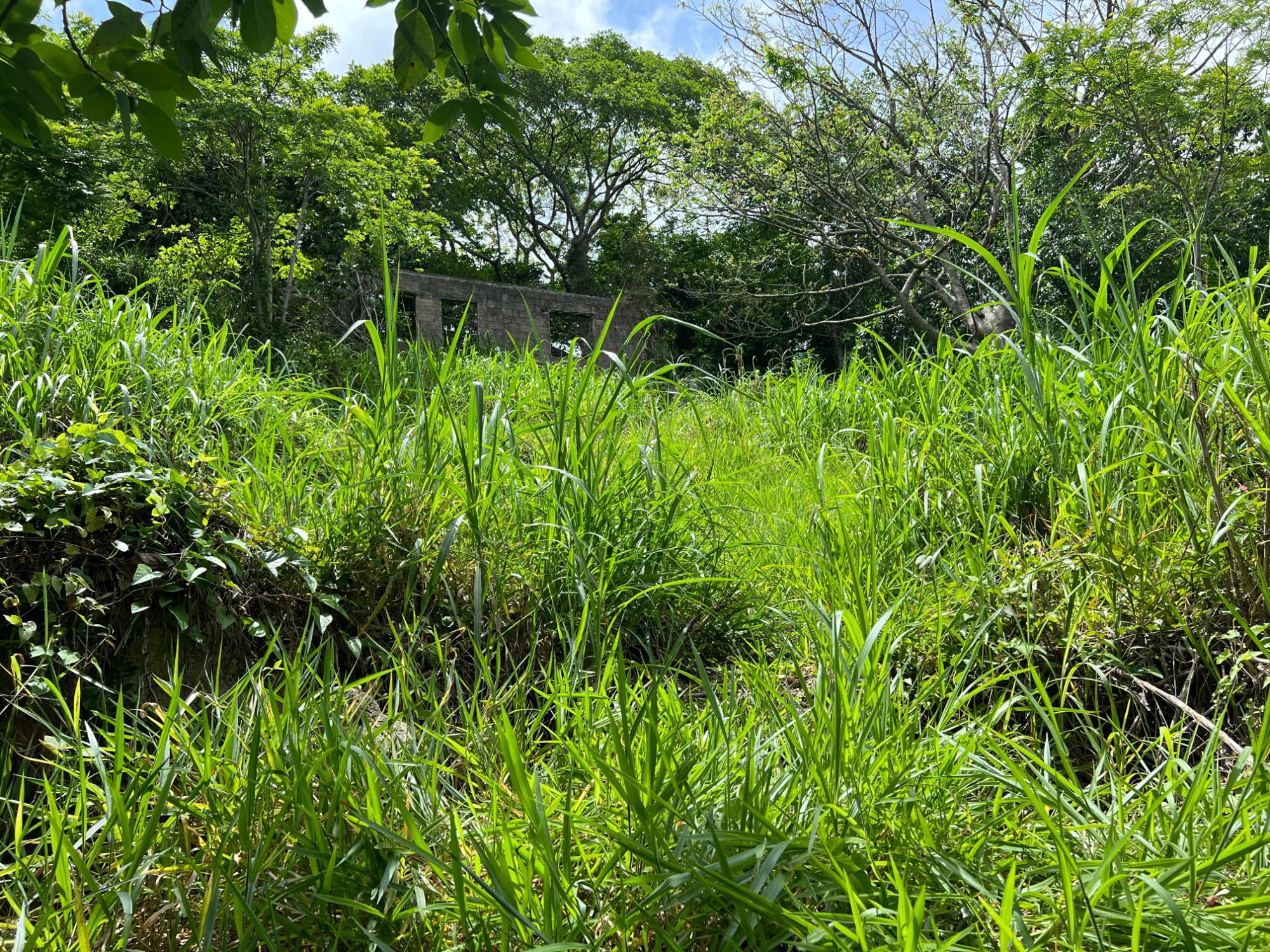 Property Image 27