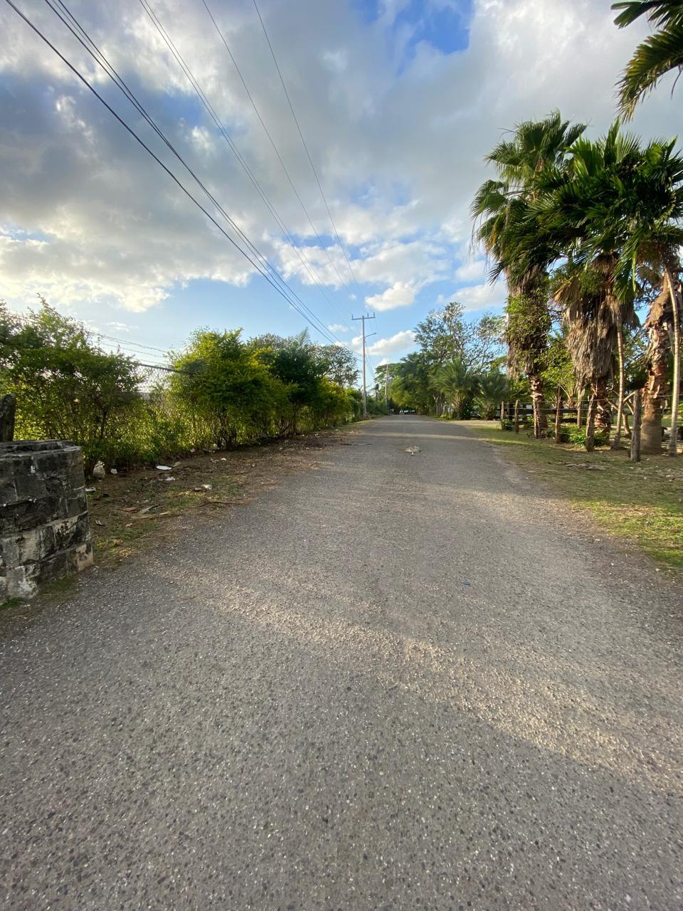 Property Image 63