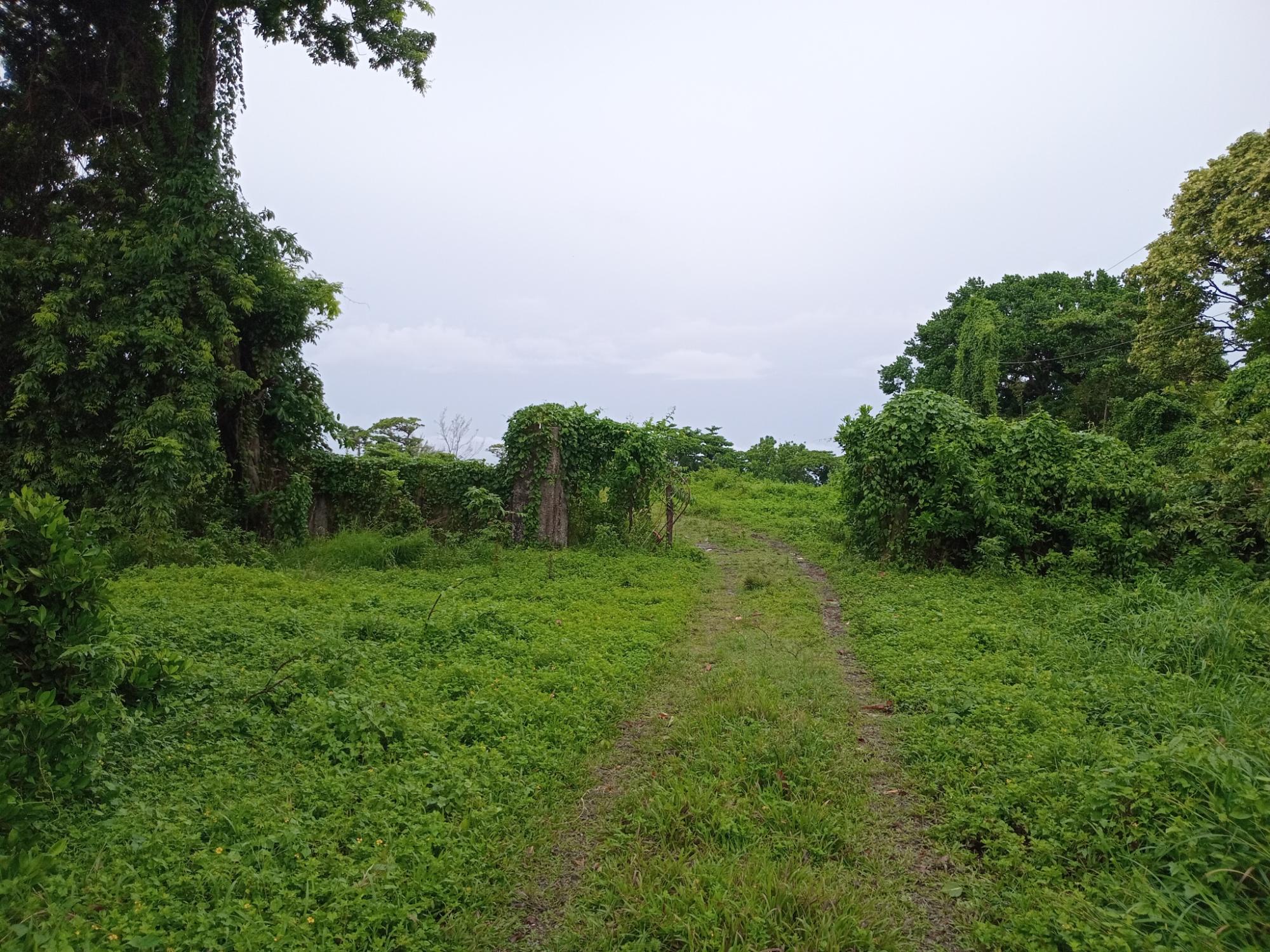Property Image 21