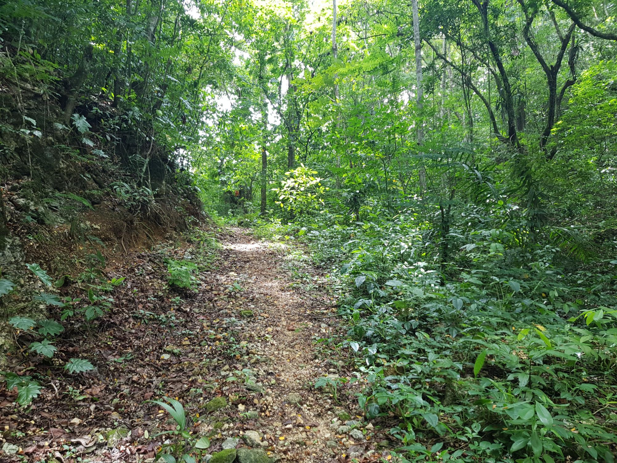 Property Image 10