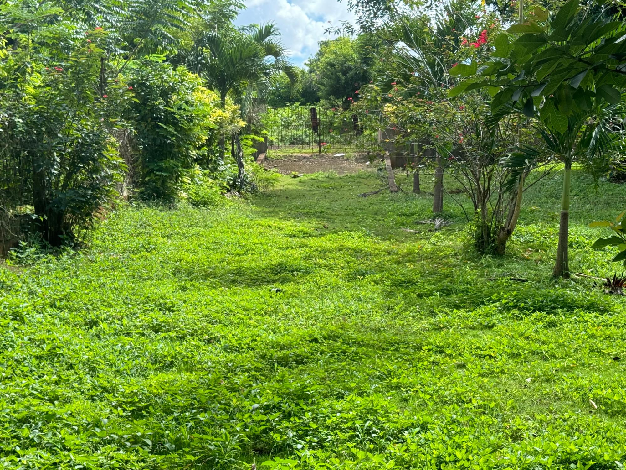 Property Image 26