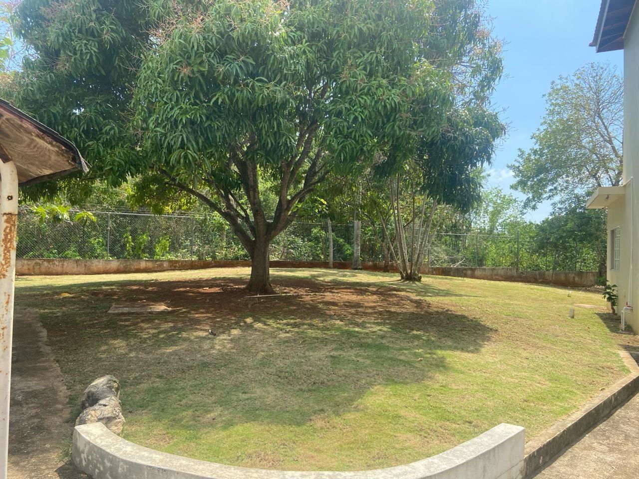 Property Image 81