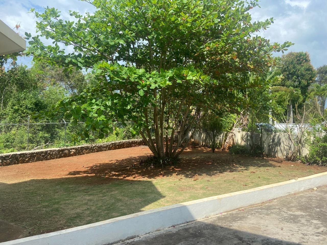 Property Image 89