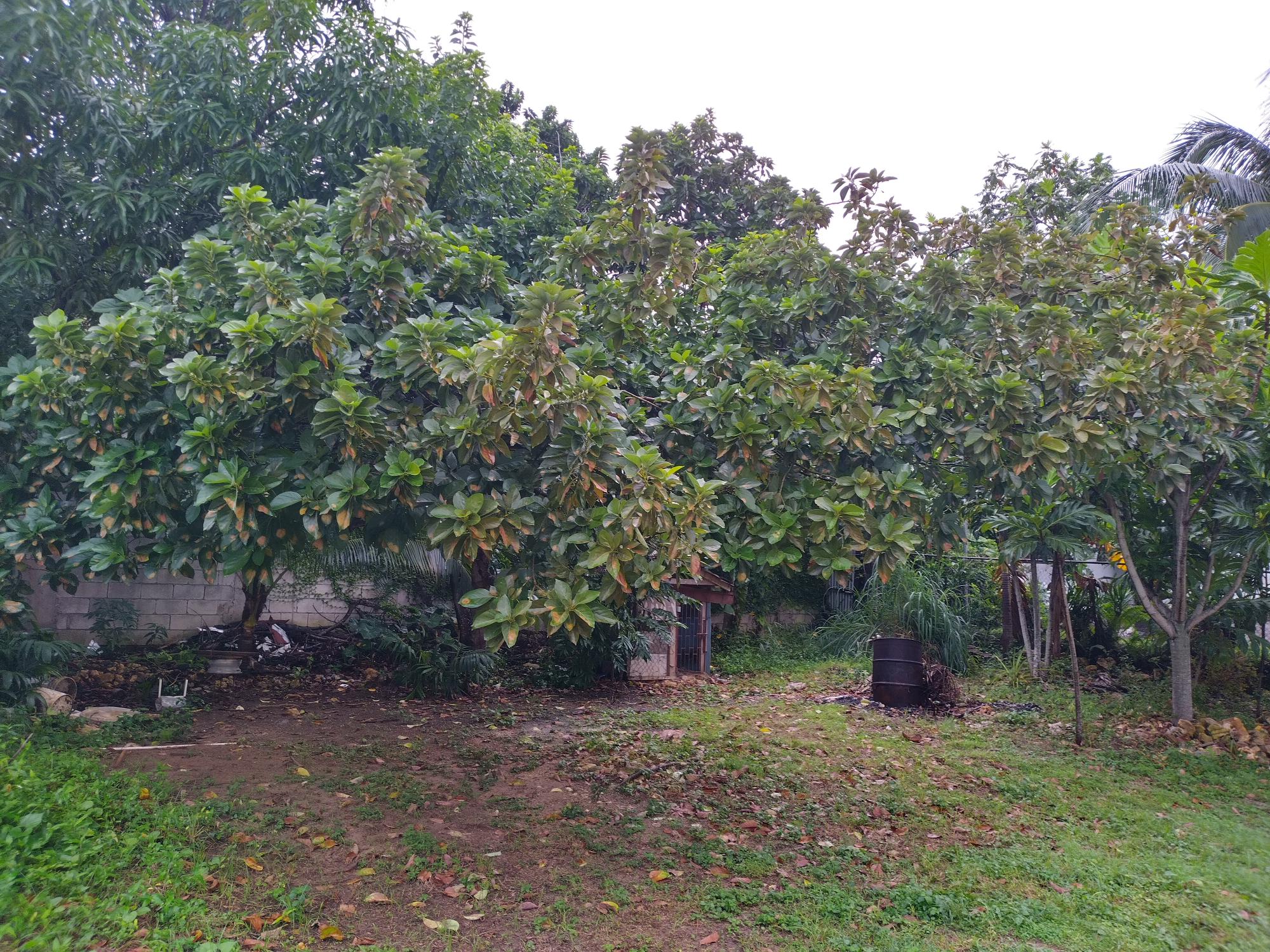 Property Image 16