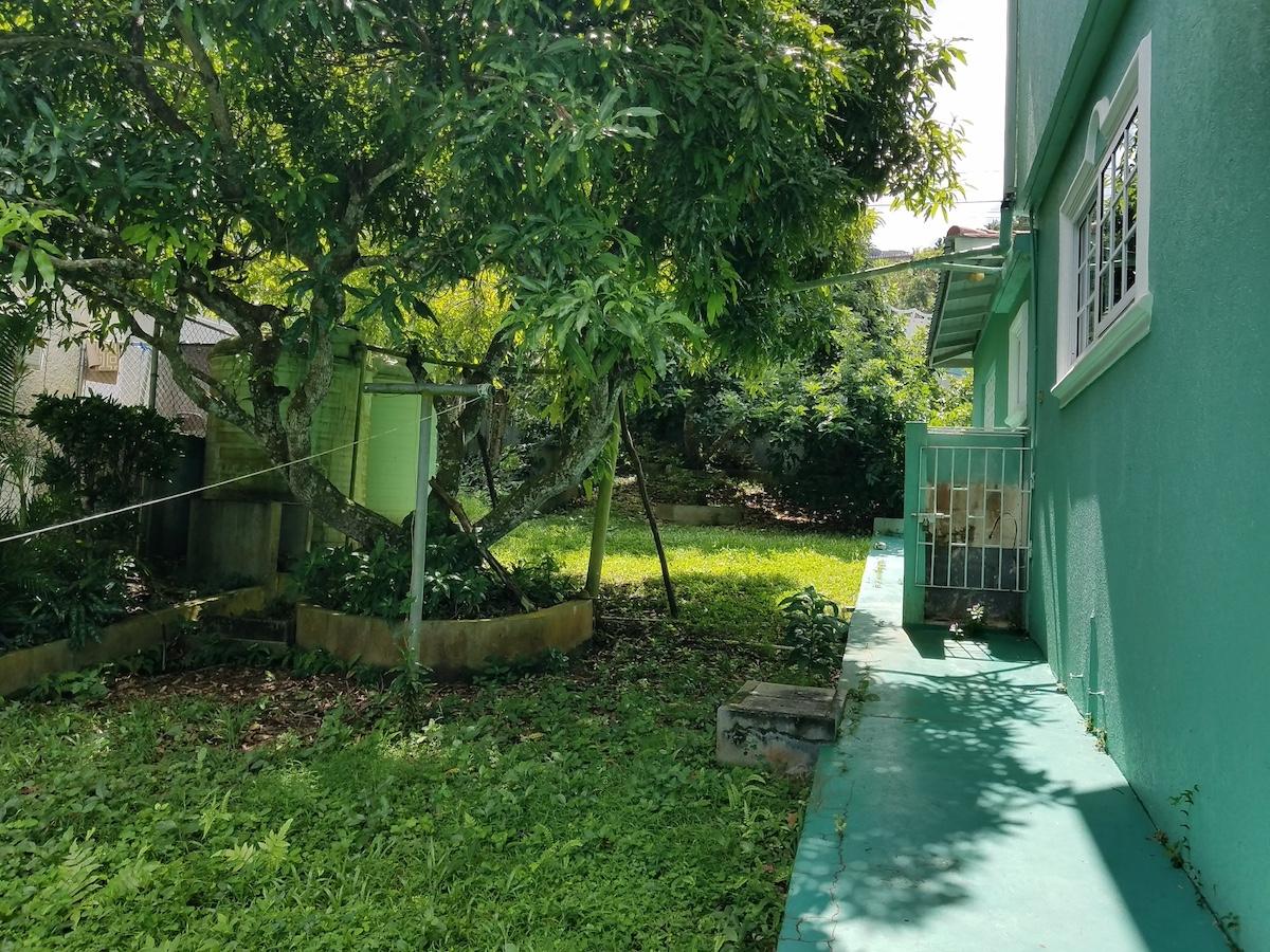 Property Image 41