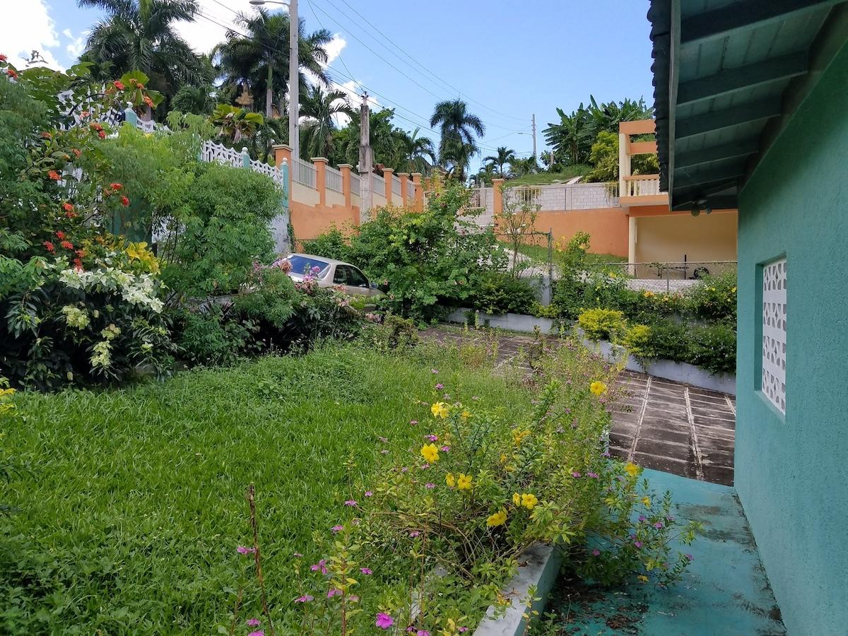 Property Image 53