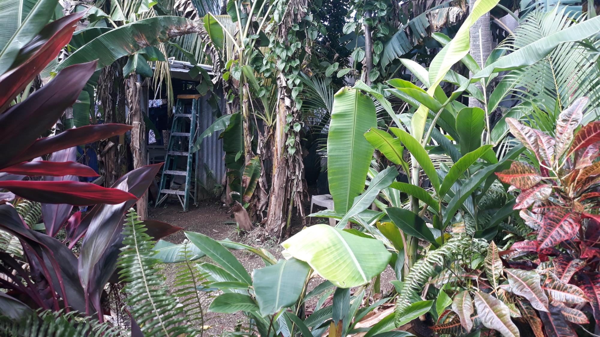 Property Image 17