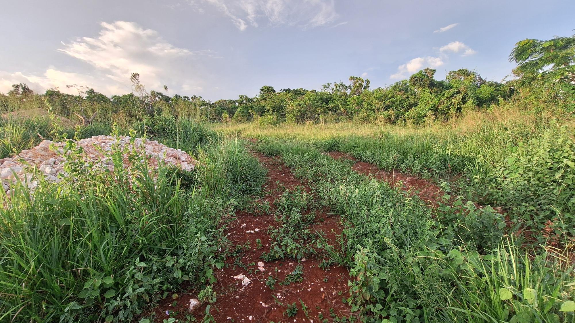 Property Image 13