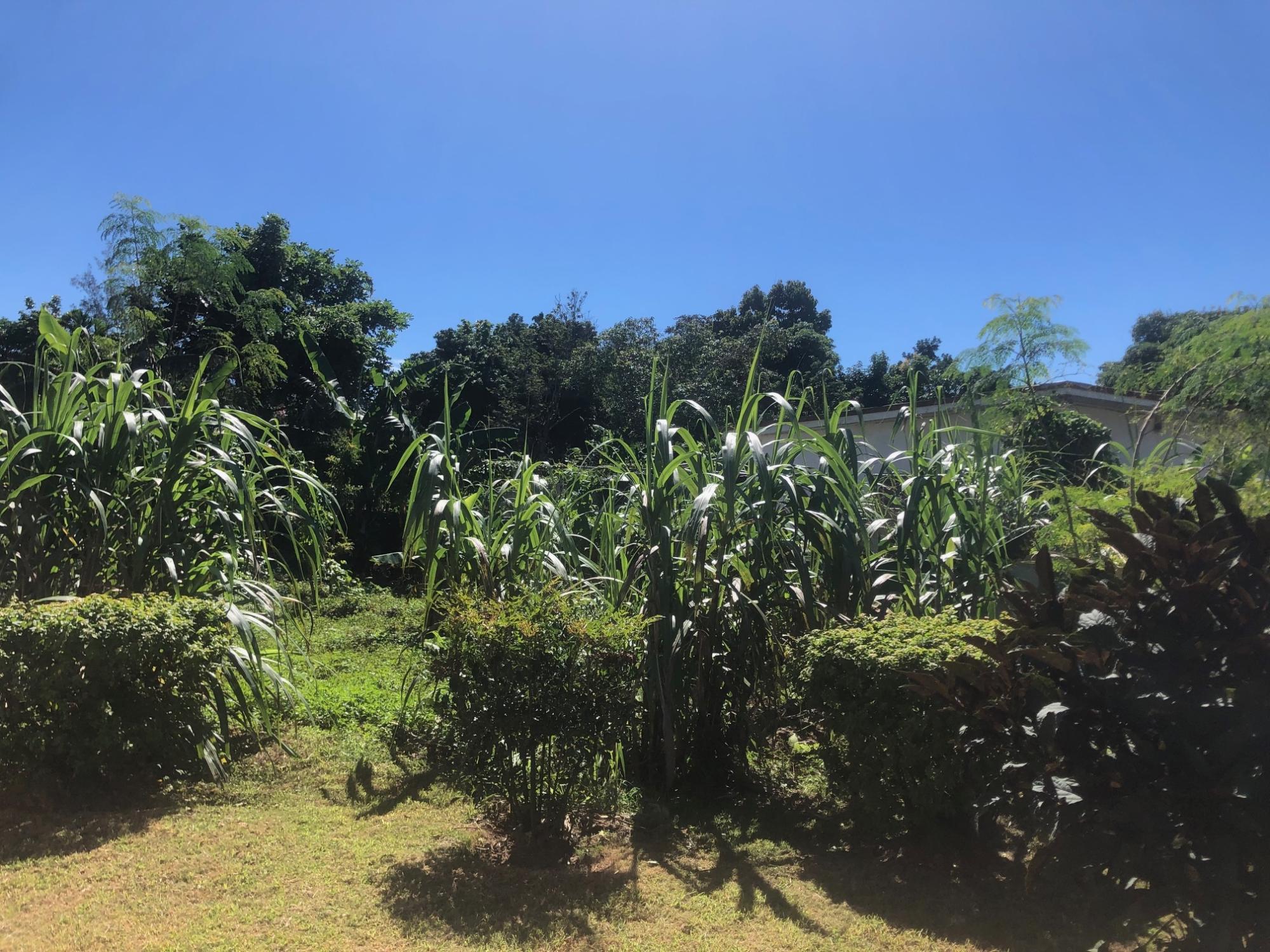 Property Image 19
