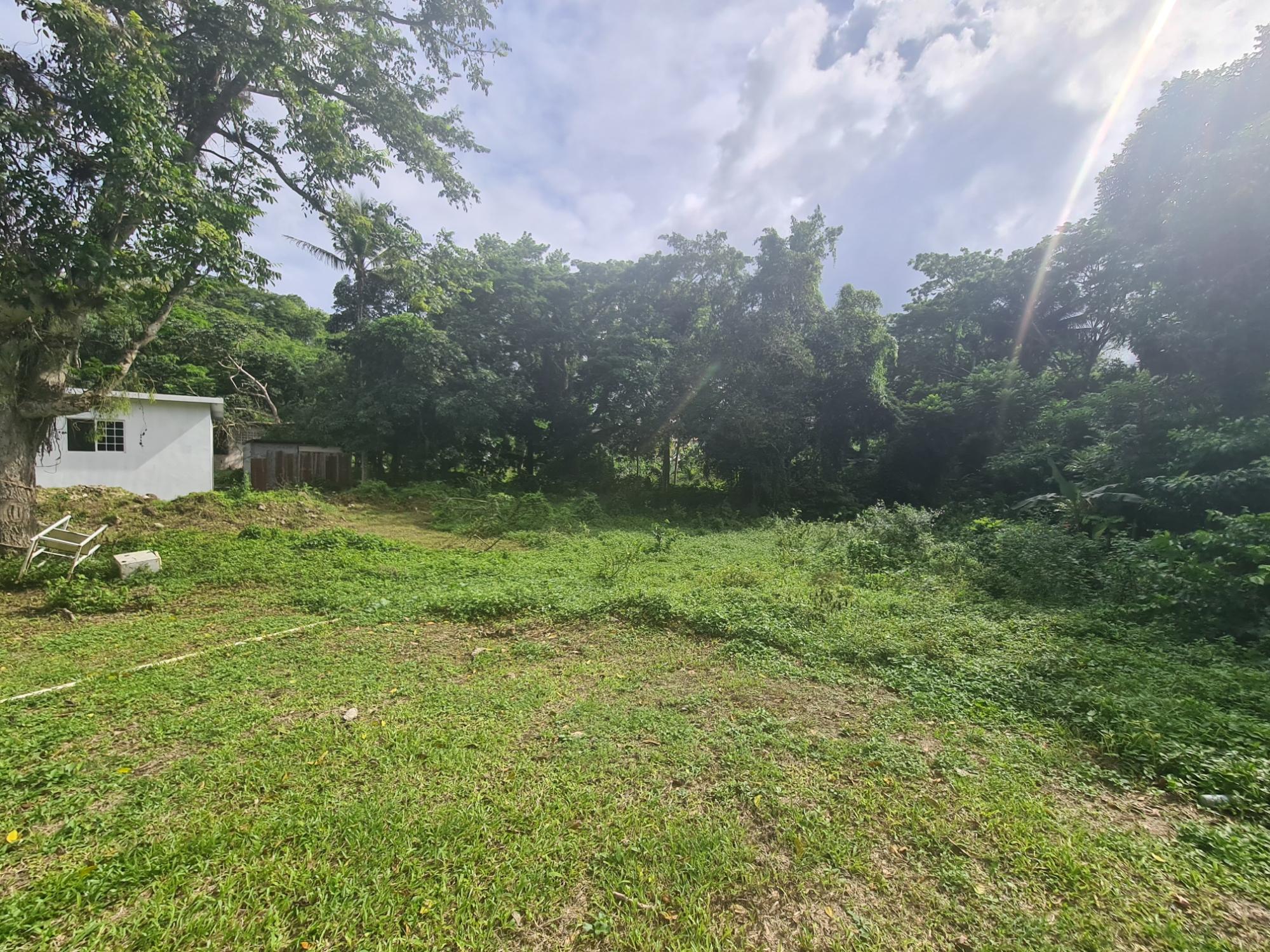 Property Image 42