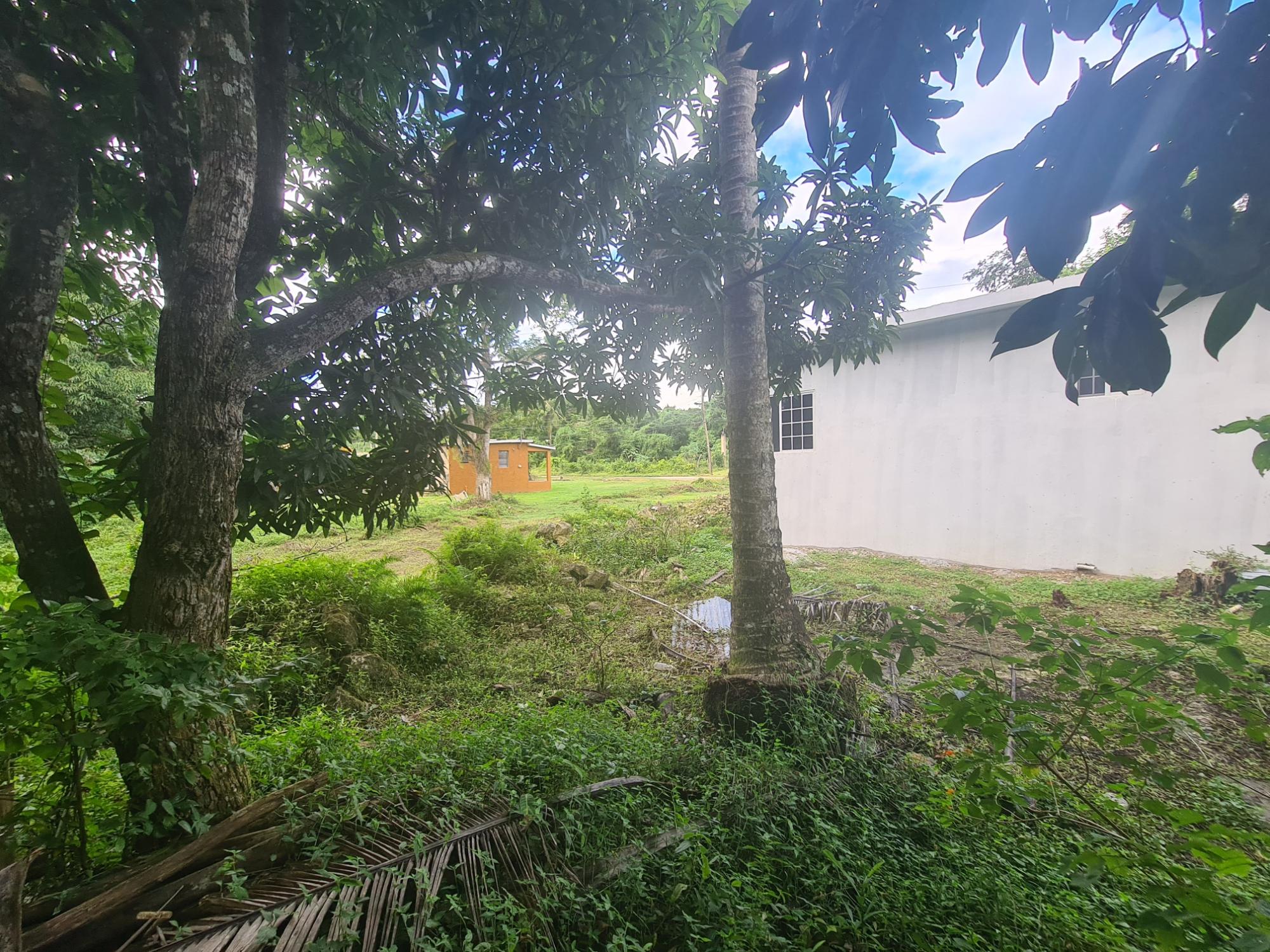 Property Image 46
