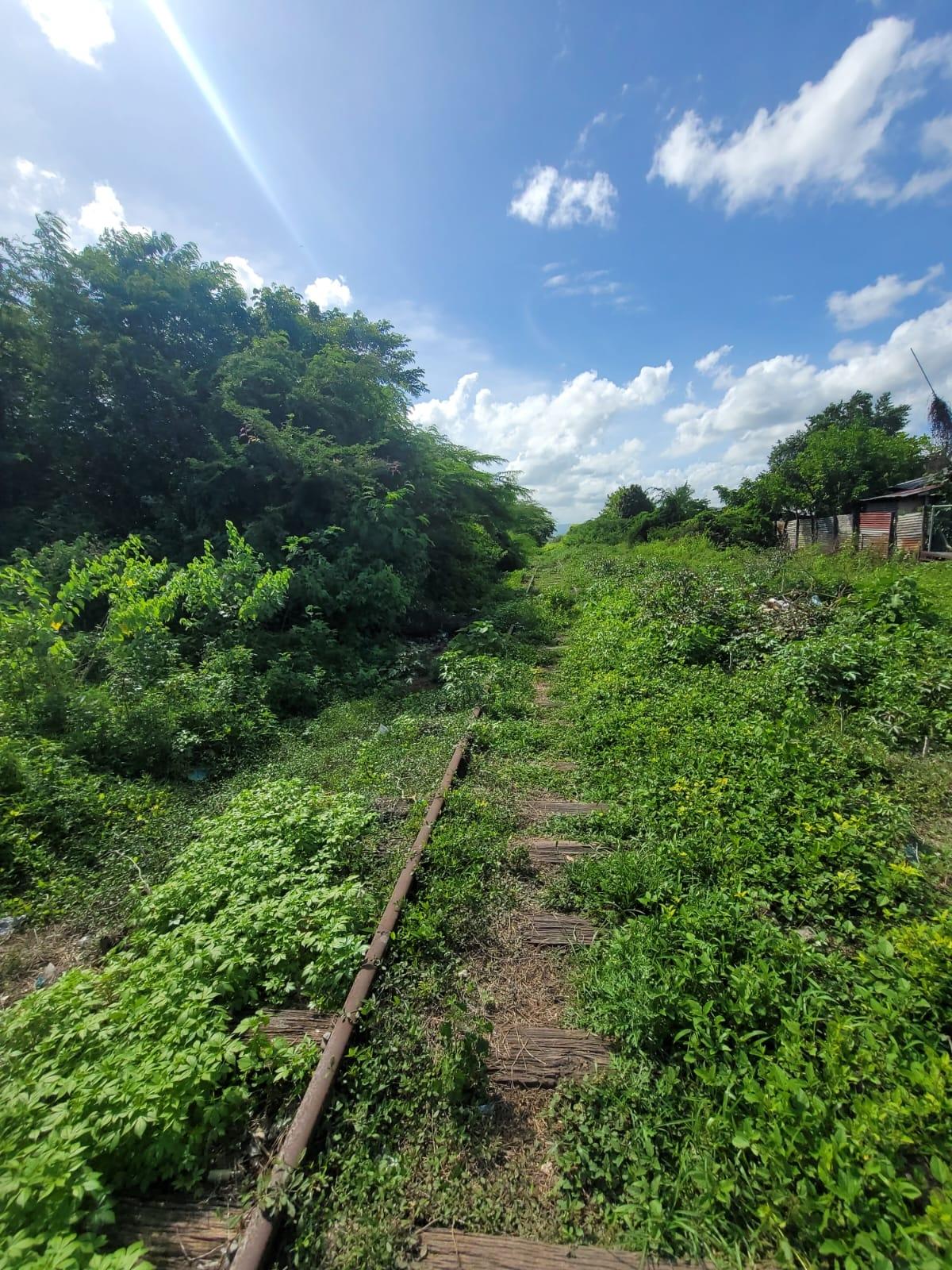 Property Image 19