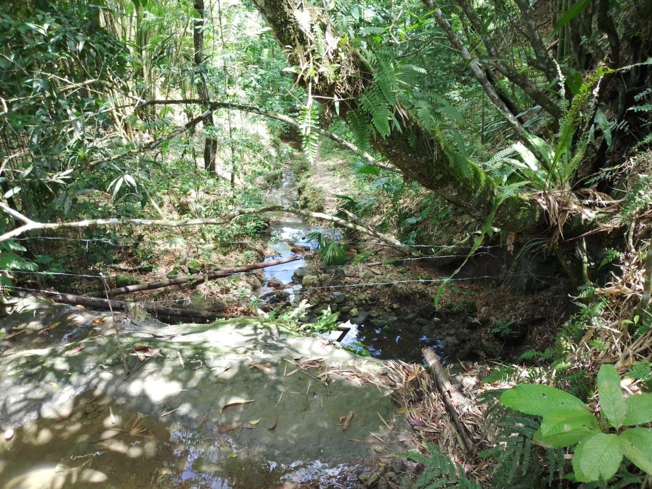 Property Image 34