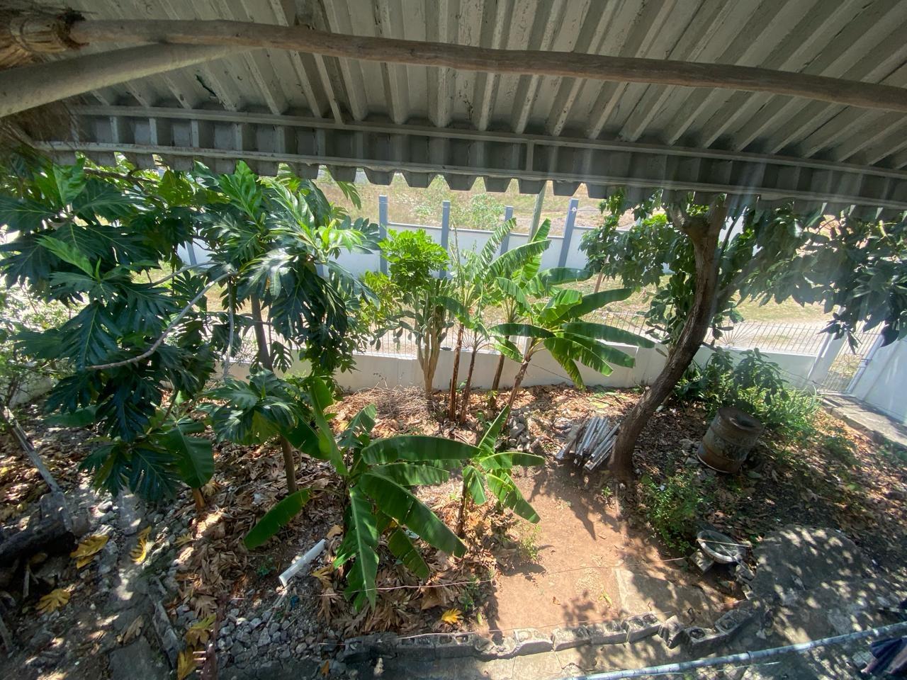 Property Image 55