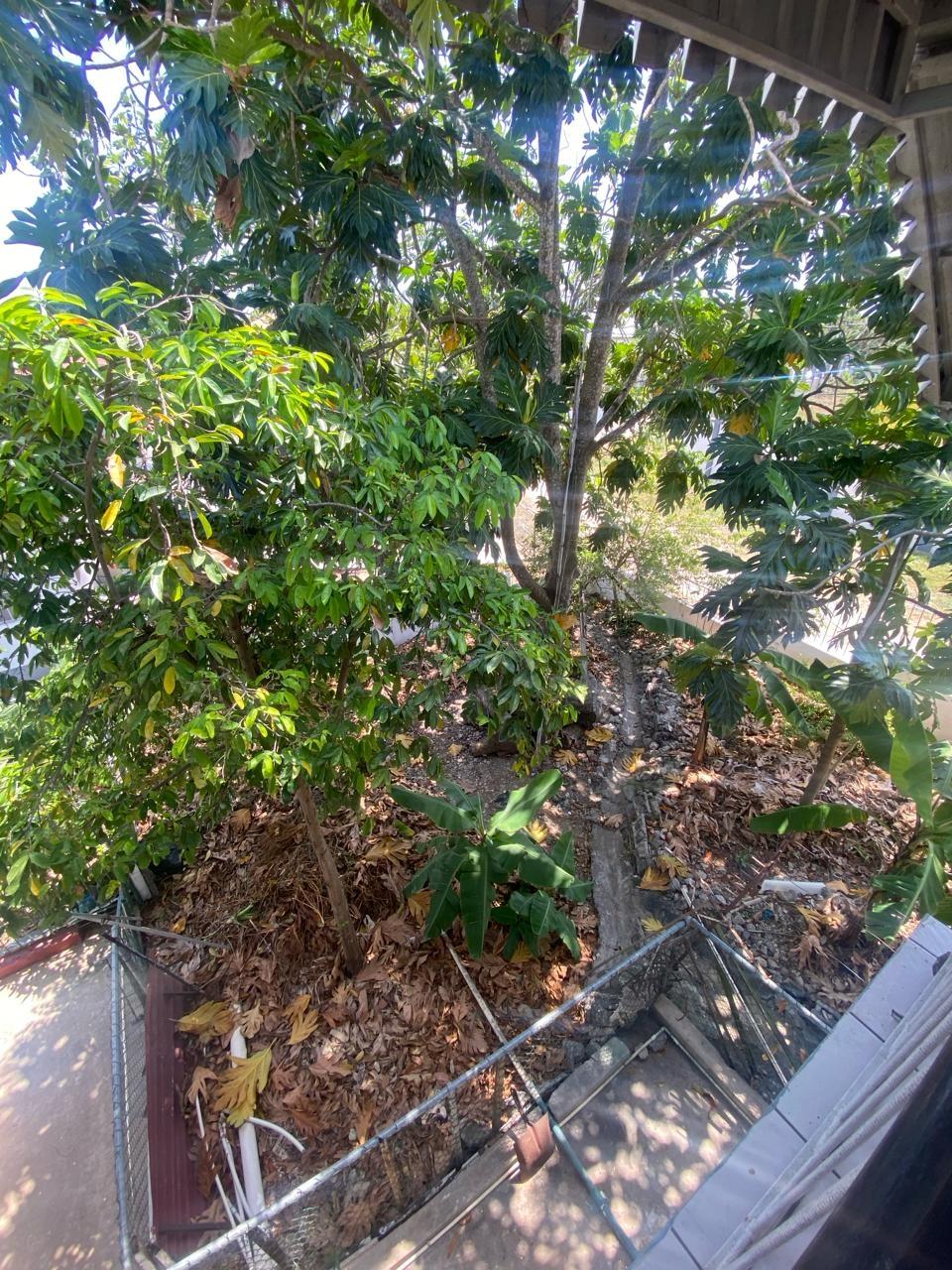 Property Image 57
