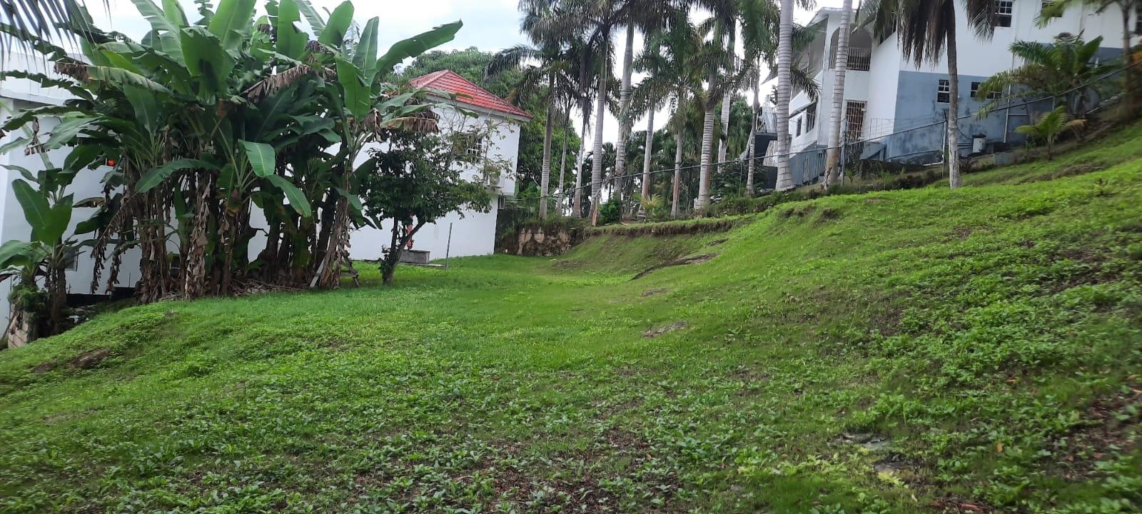 Property Image 52