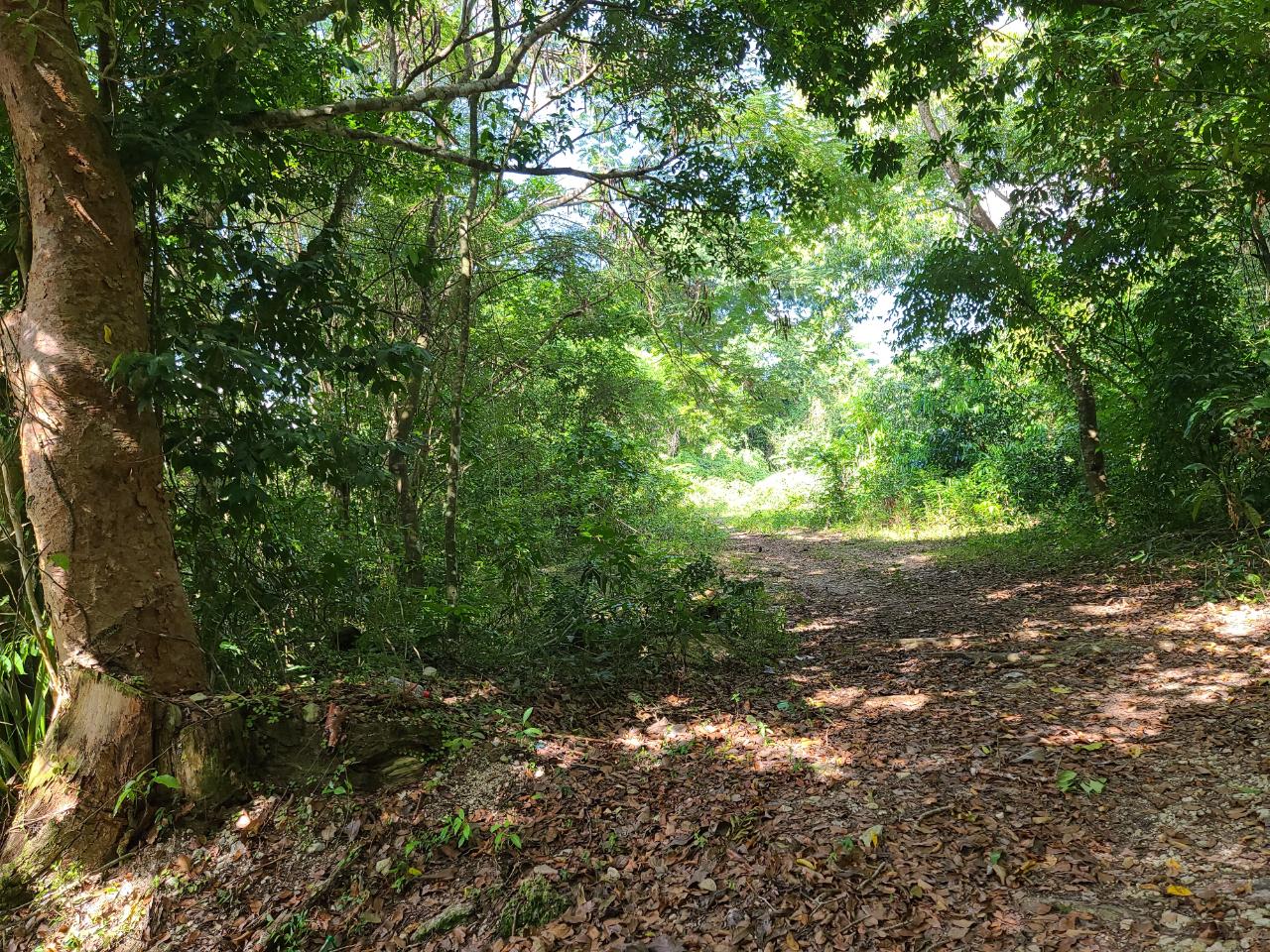 Property Image 21