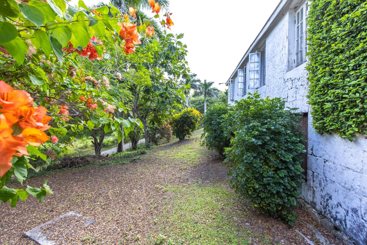 Property Image 49