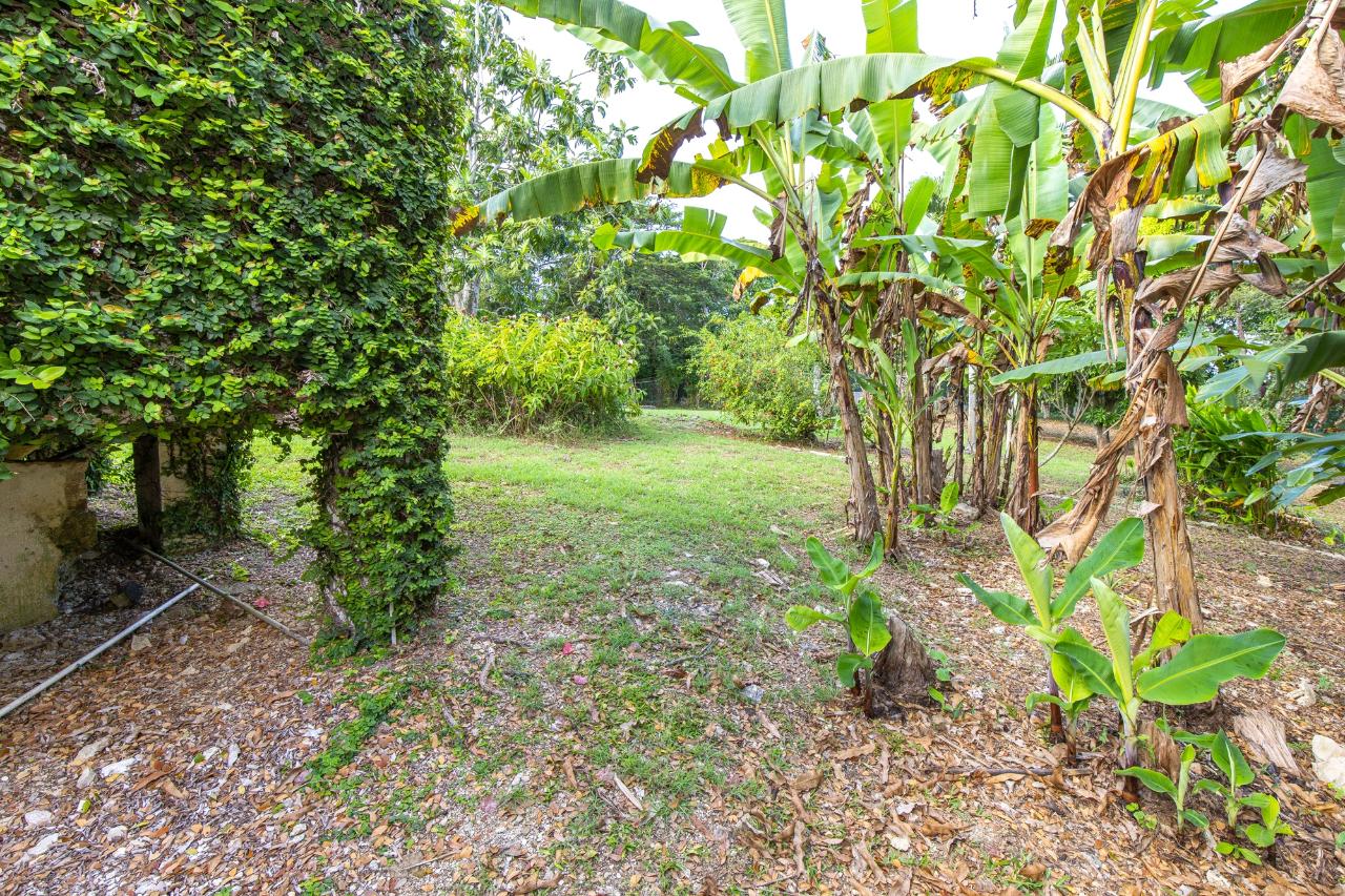 Property Image 52