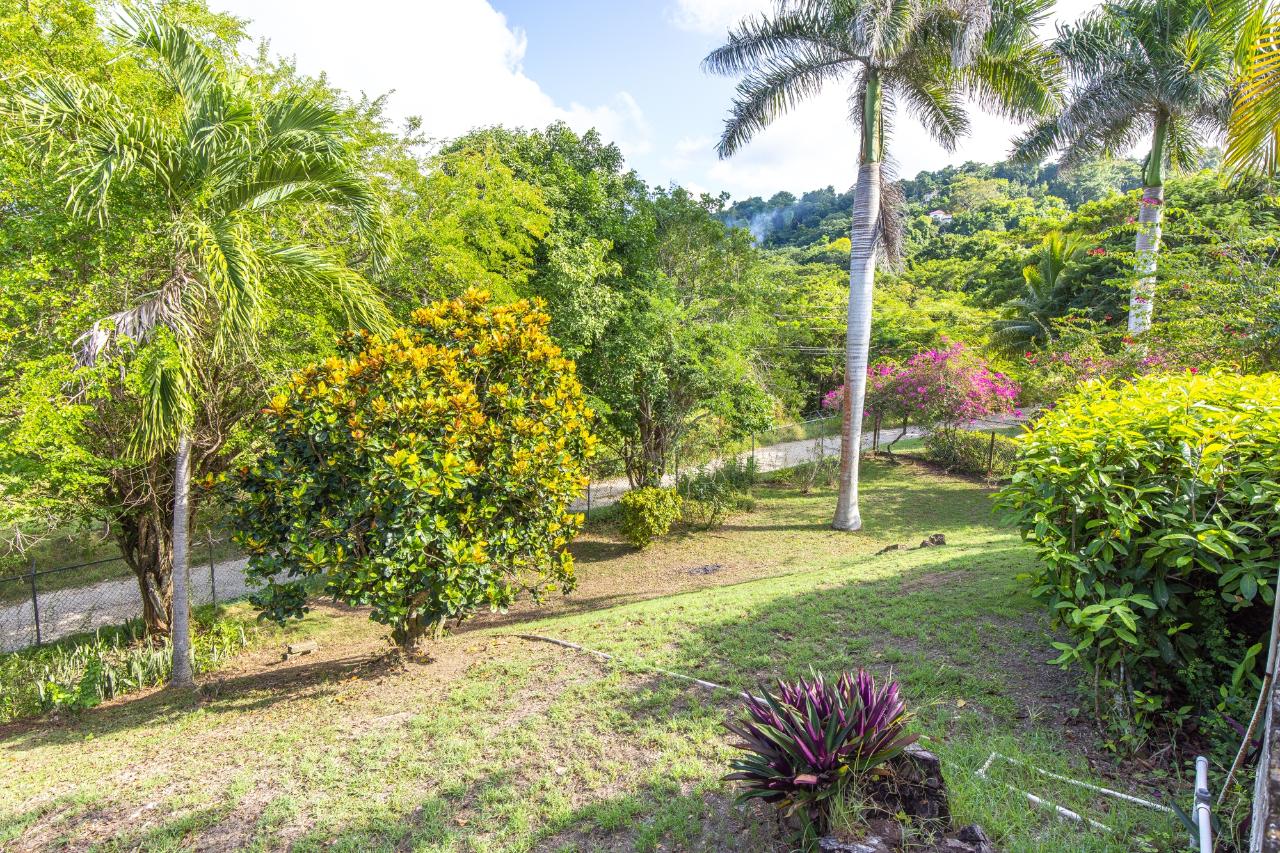 Property Image 53