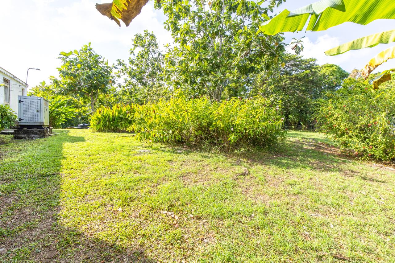 Property Image 54