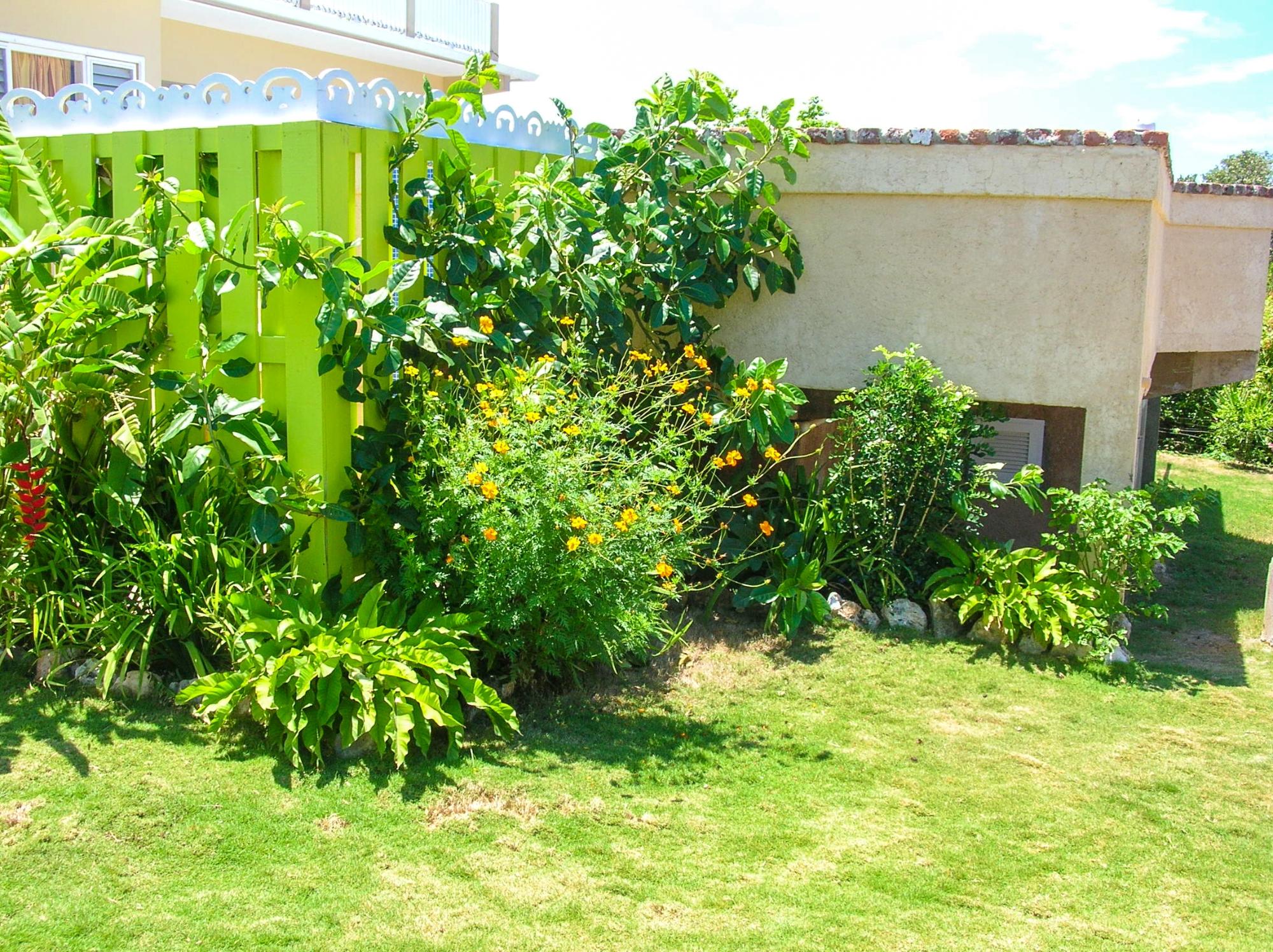 Property Image 17