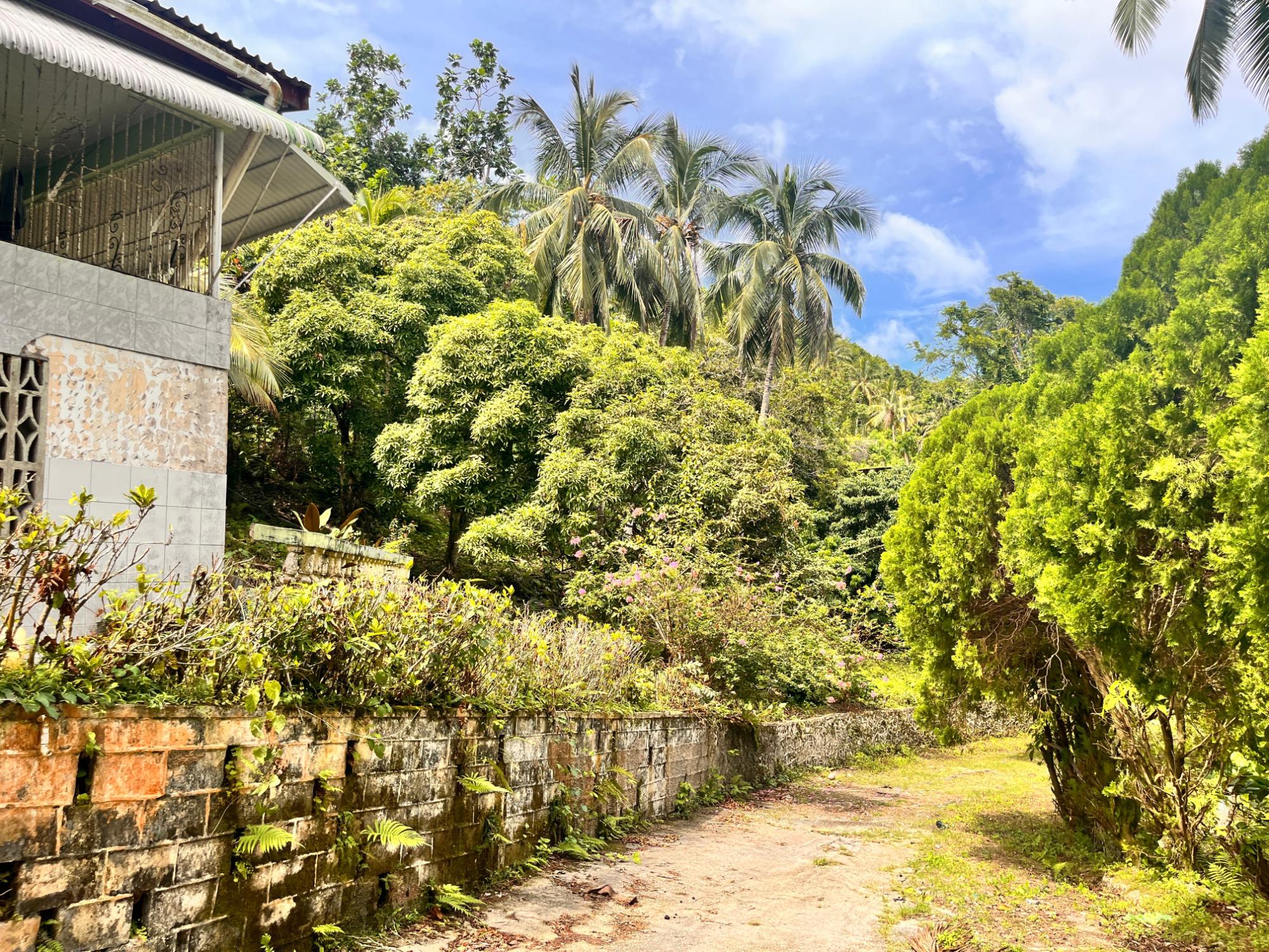 Property Image 8