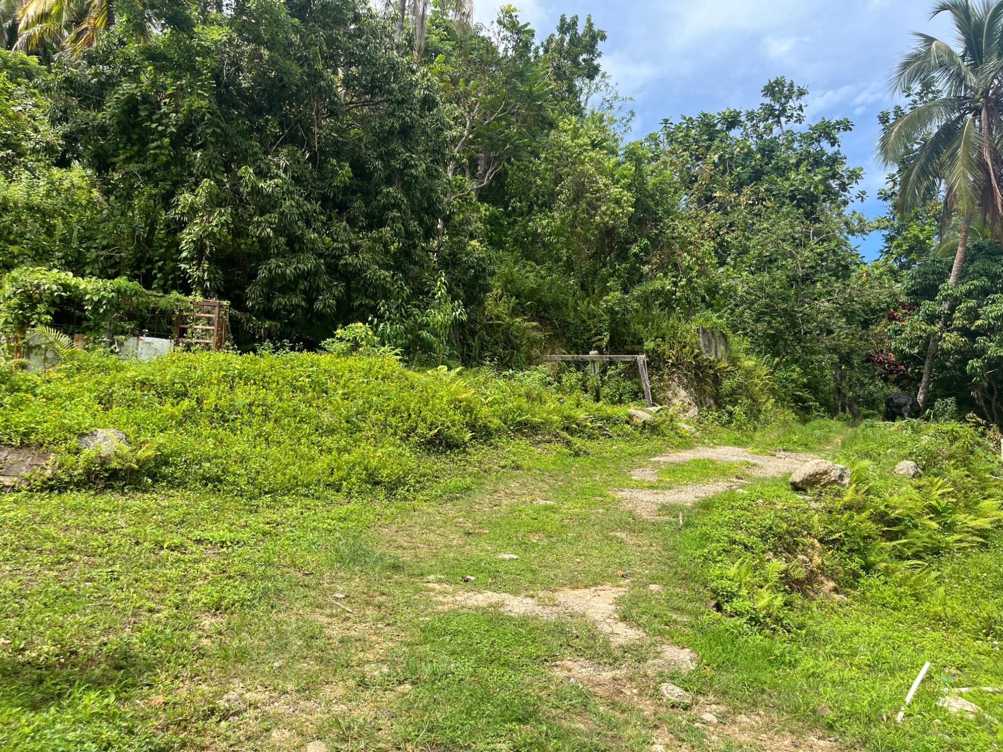 Property Image 17
