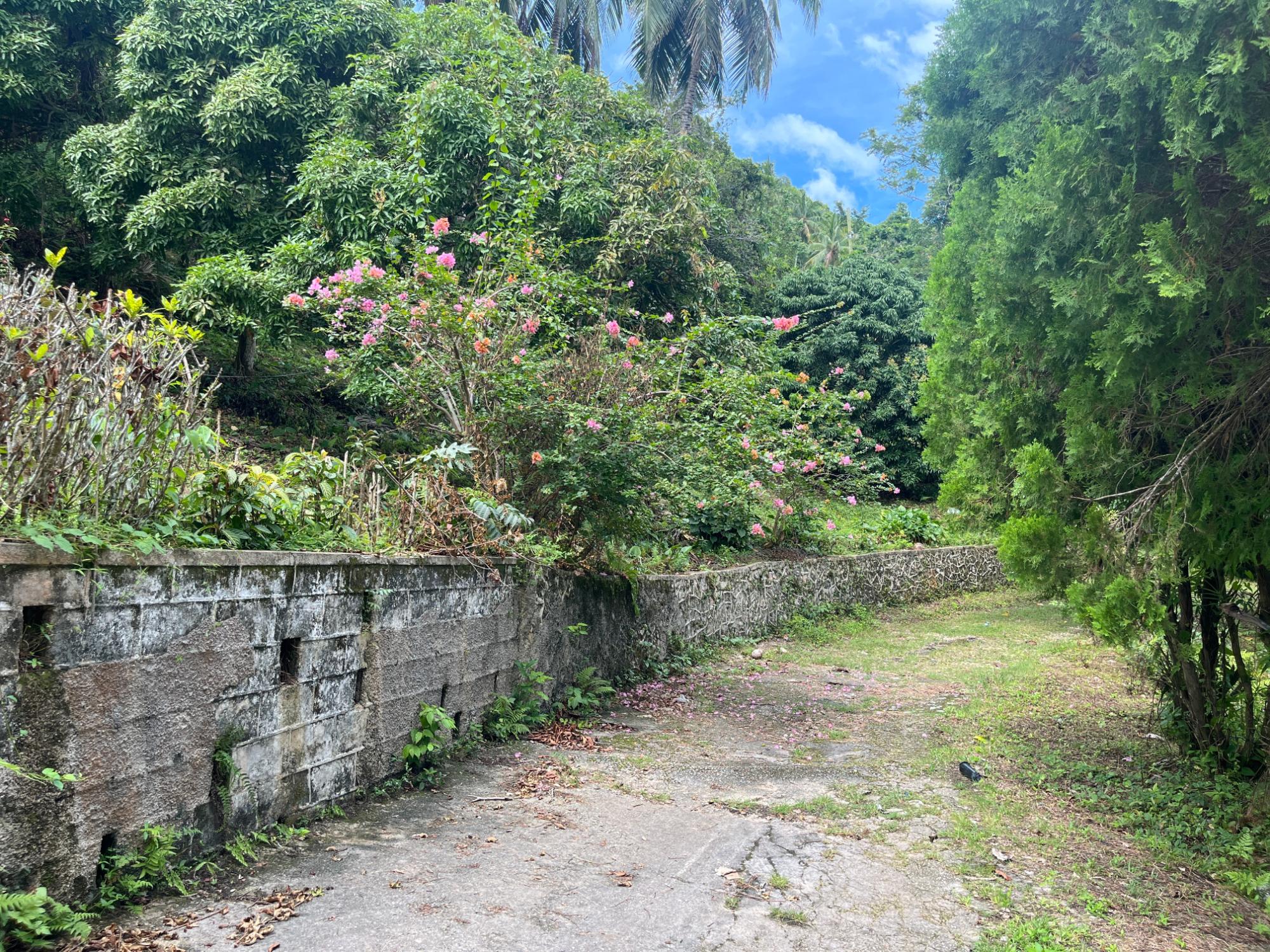 Property Image 19