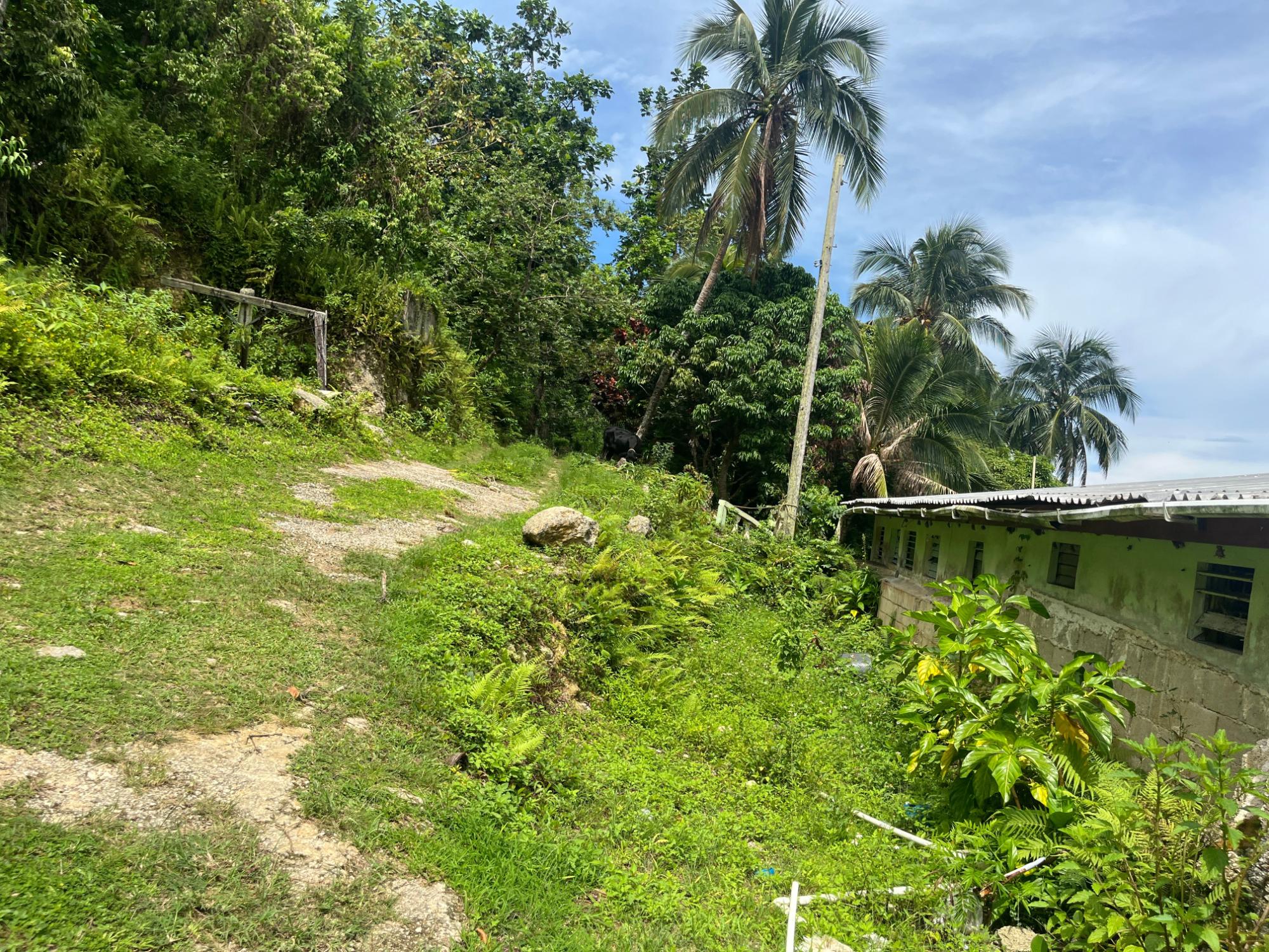 Property Image 20