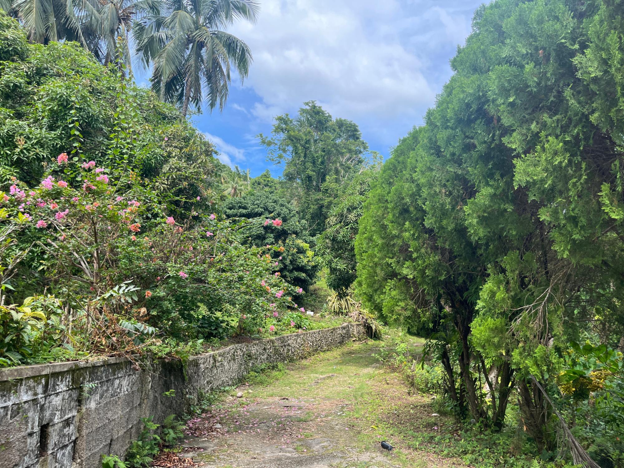 Property Image 21