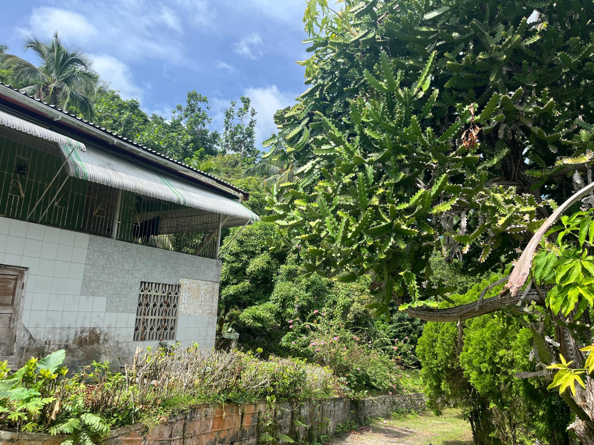Property Image 24