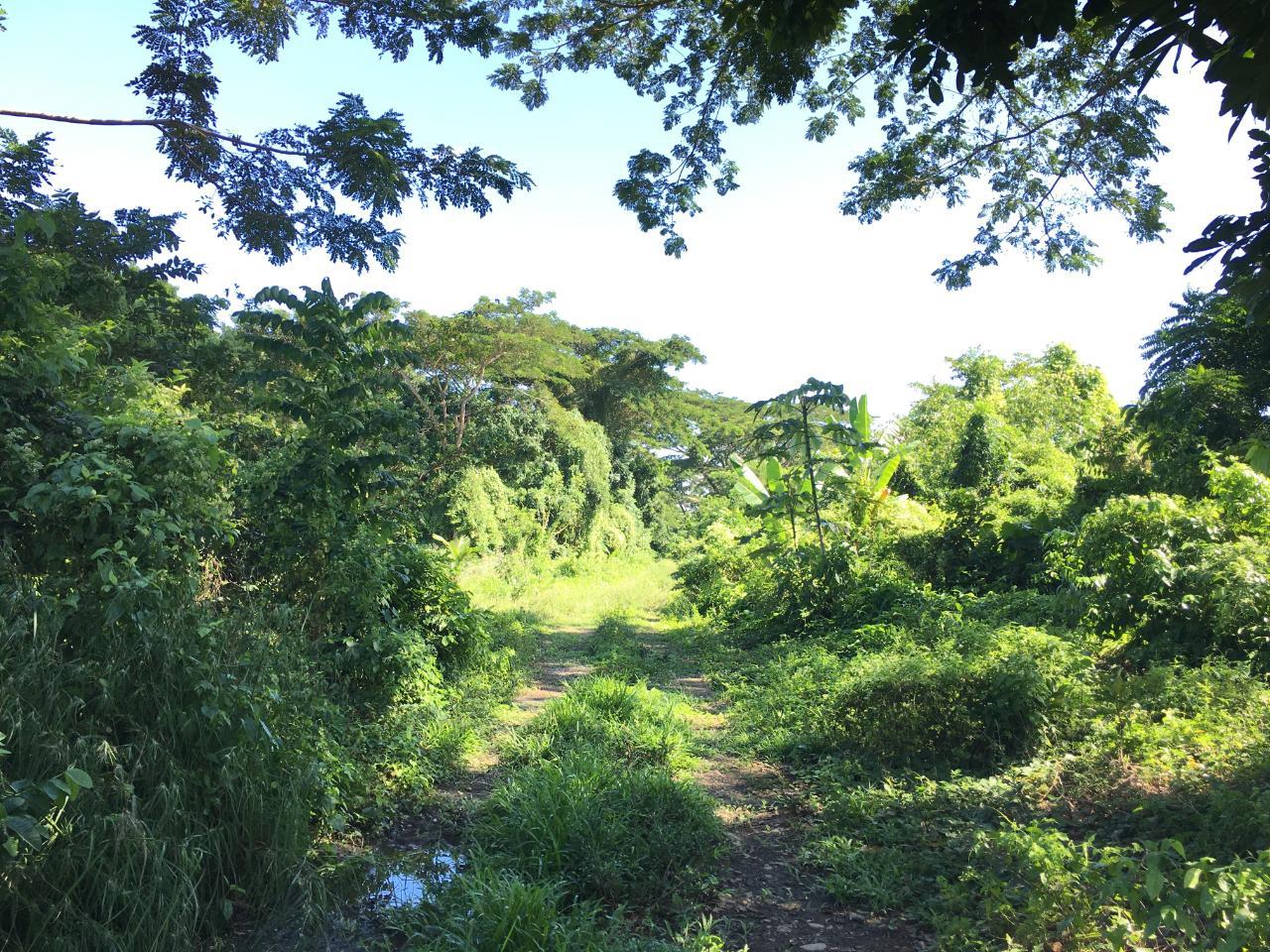 Property Image 35