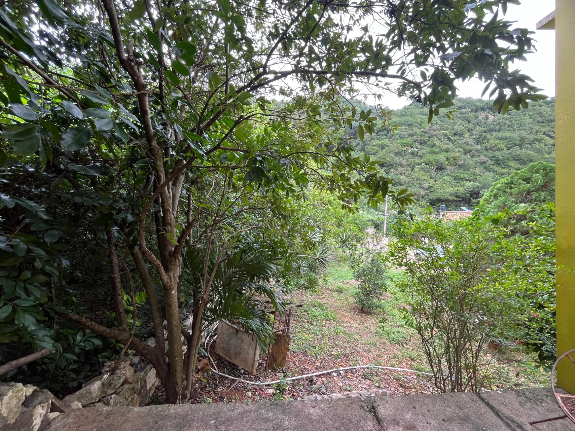 Property Image 25