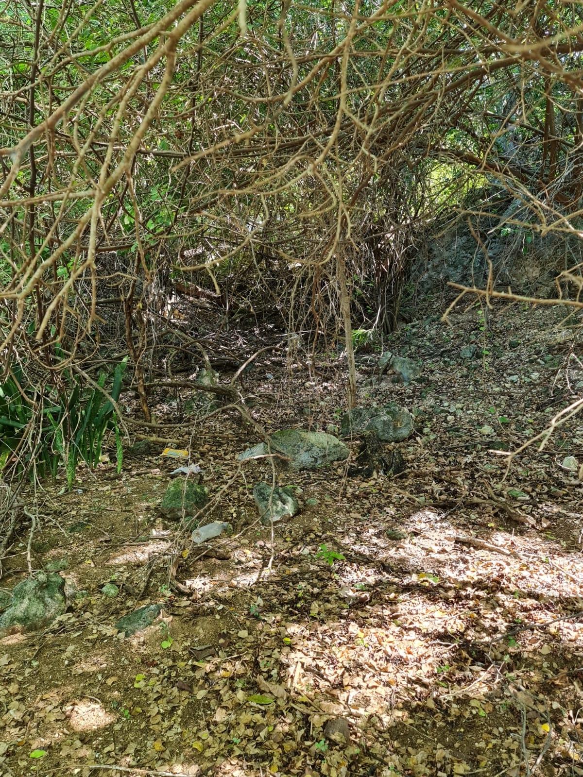Property Image 18