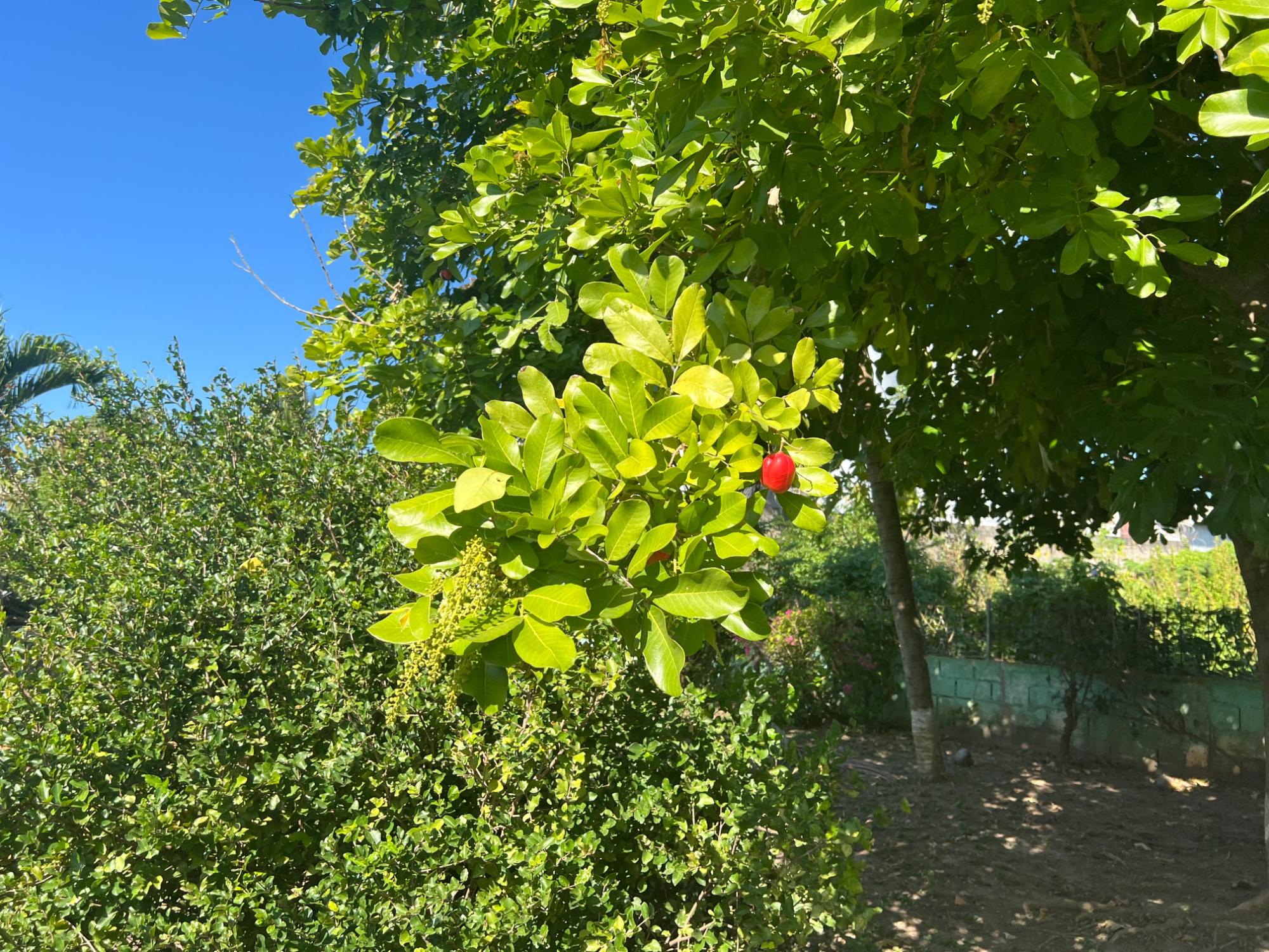 Property Image 15