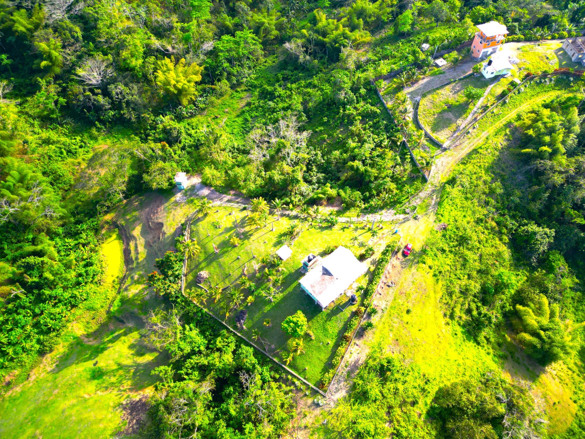 Property Image 4