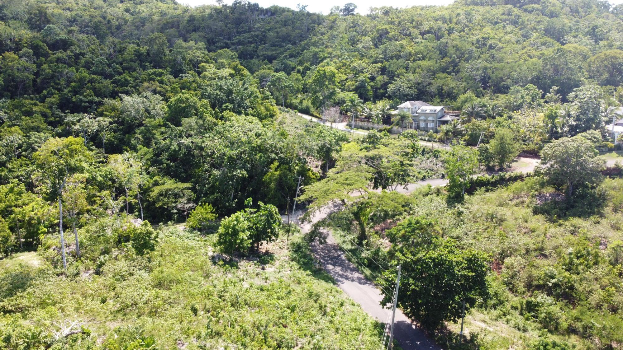 Property Image 36