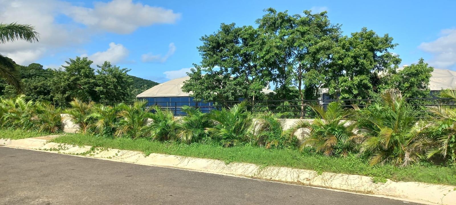 Property Image 61