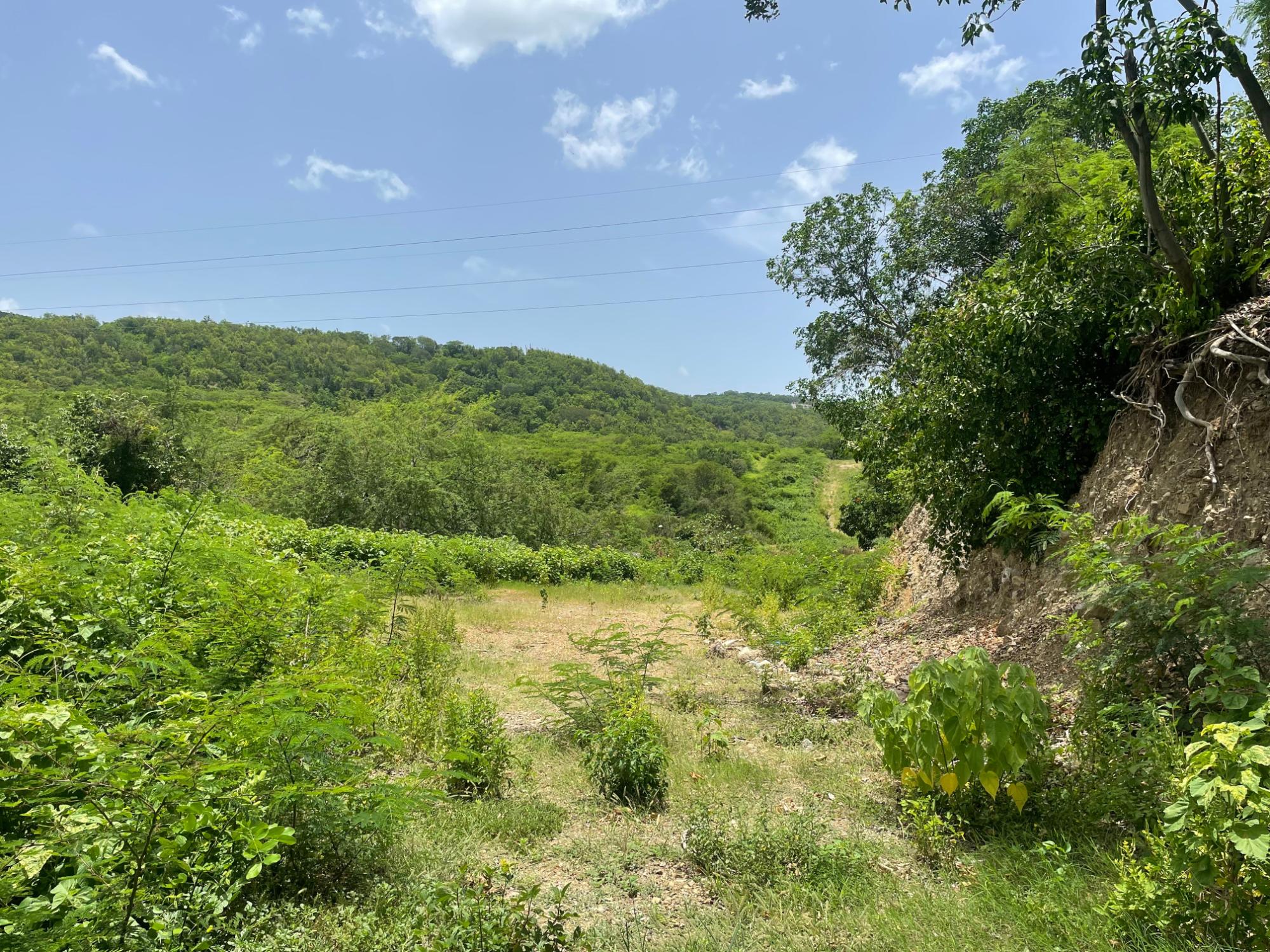 Property Image 9