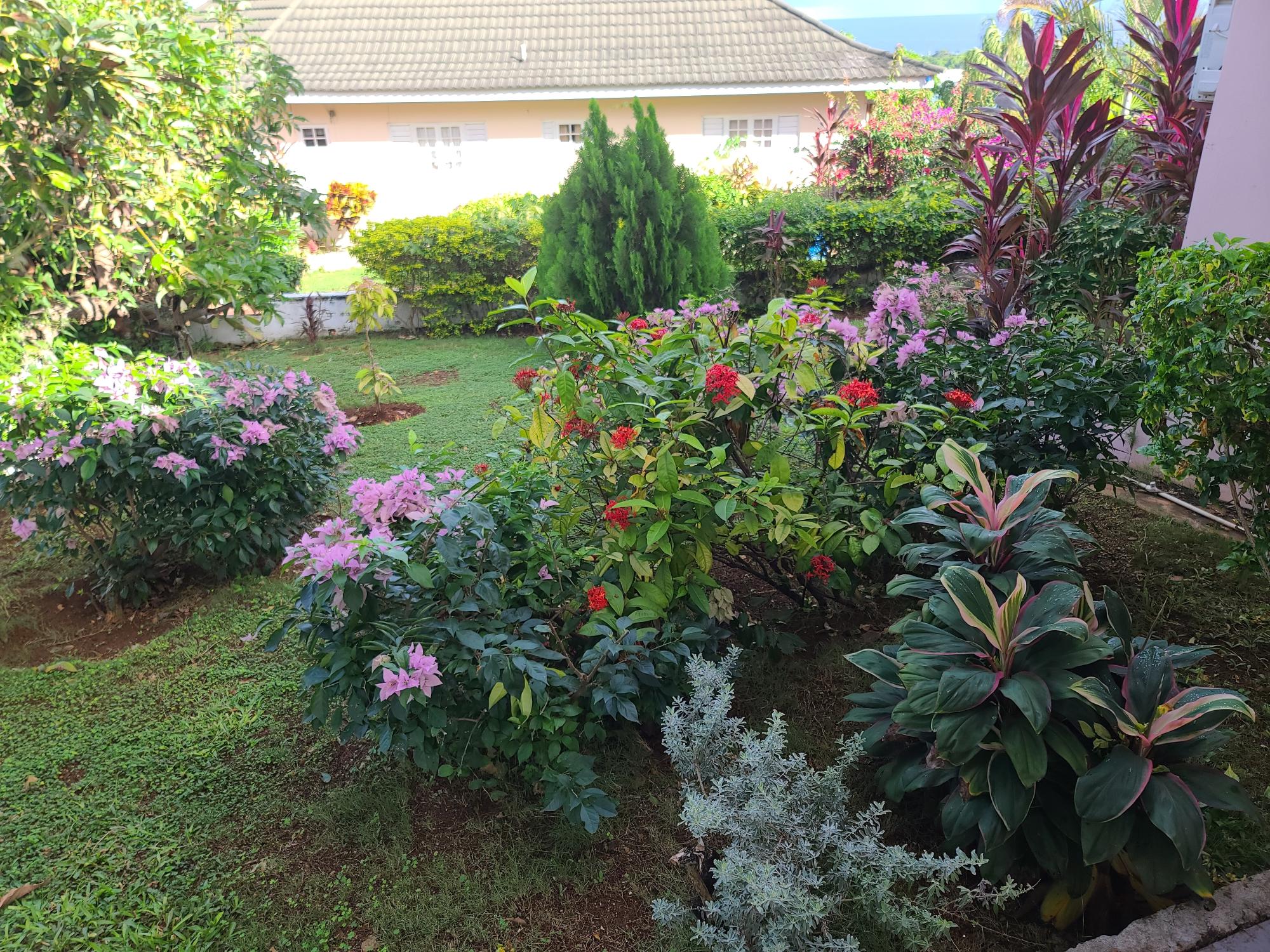 Property Image 54