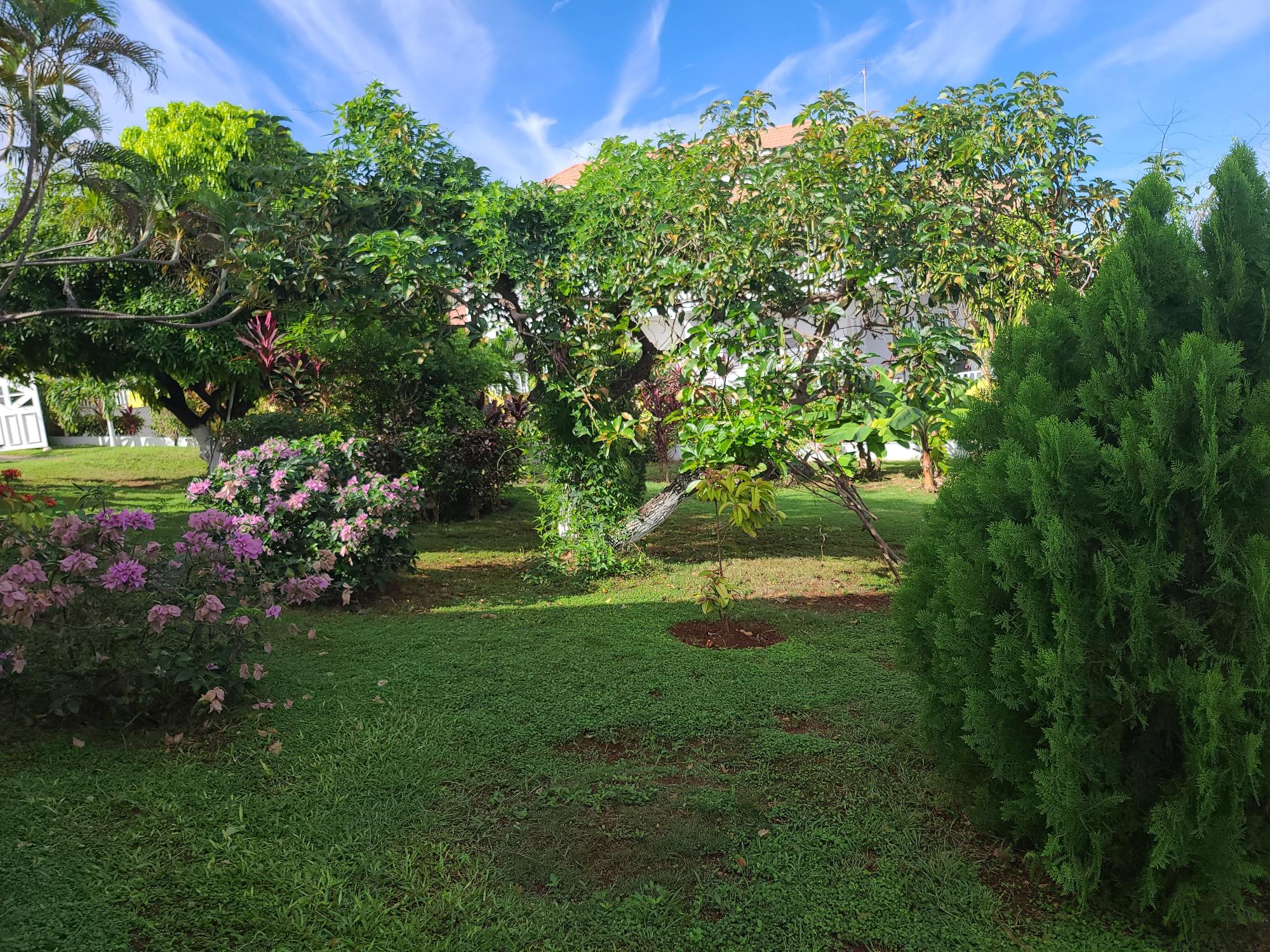 Property Image 55