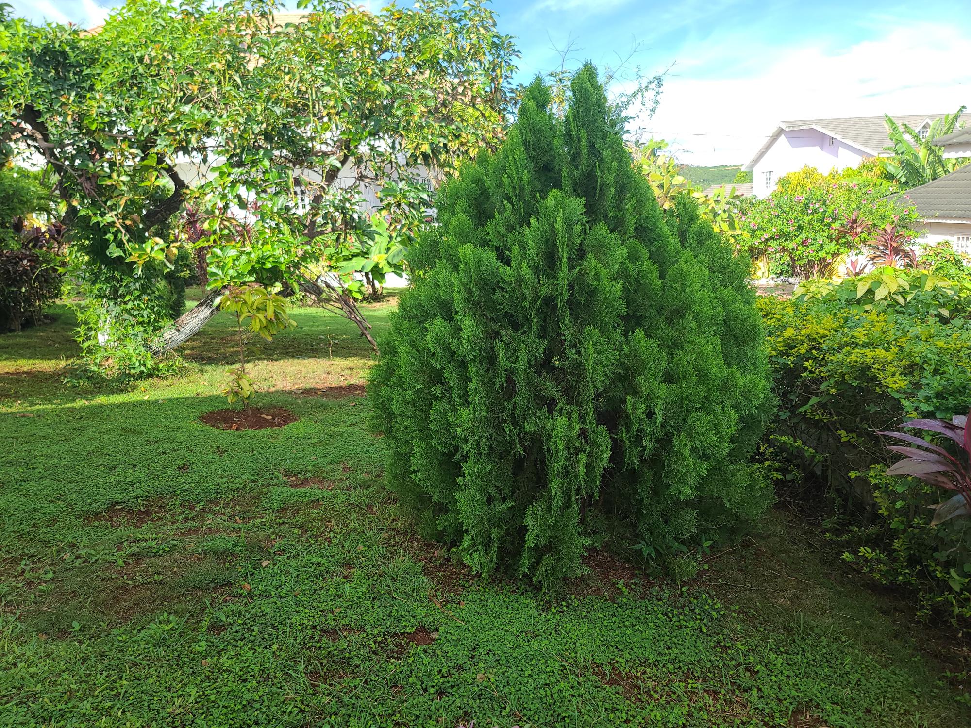 Property Image 56