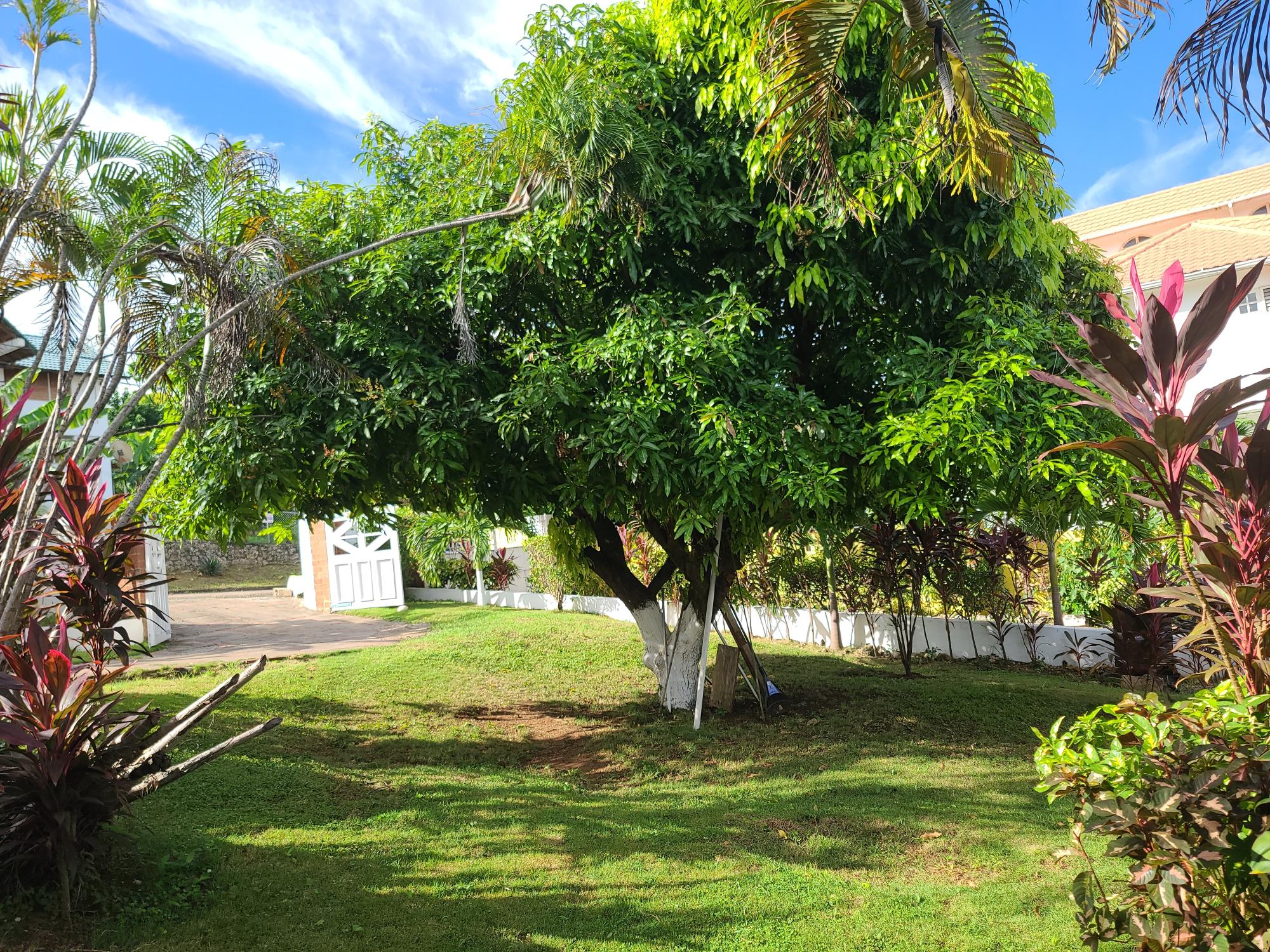 Property Image 58