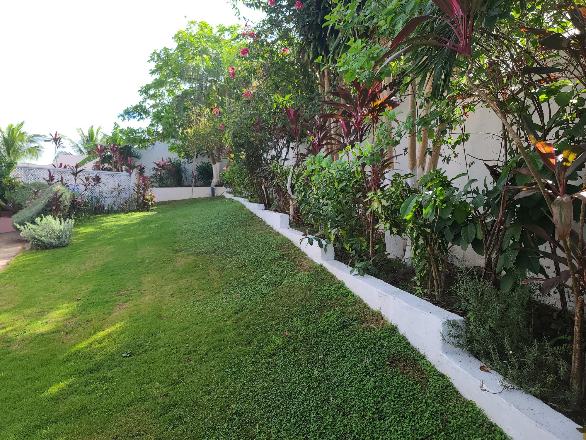 Property Image 60
