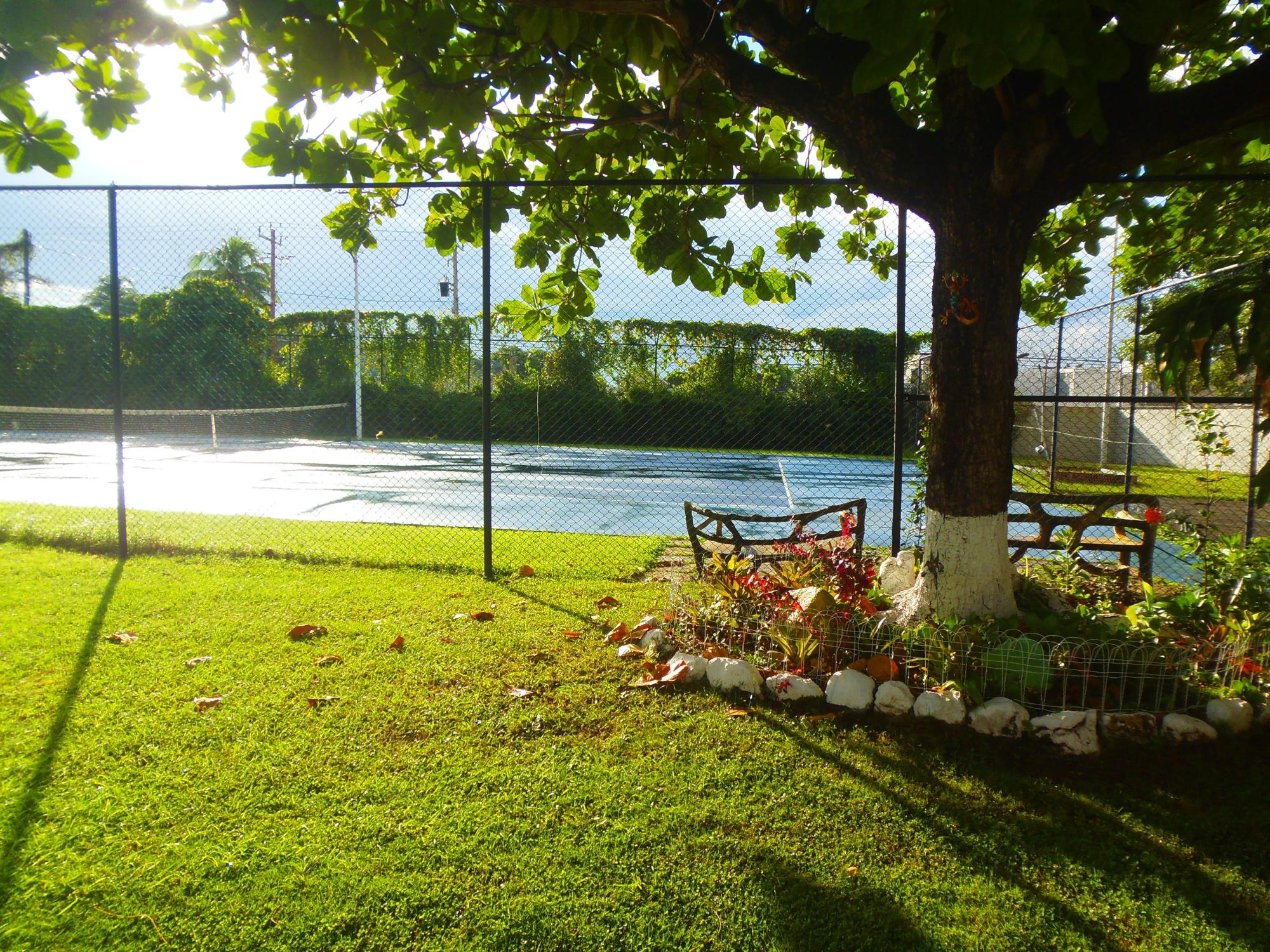 Property Image 30