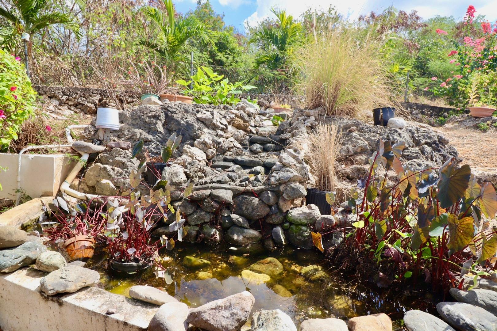 Property Image 58